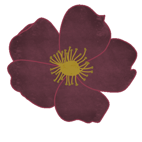 A stylized flower with purple petals and a yellow center against a brown background.
