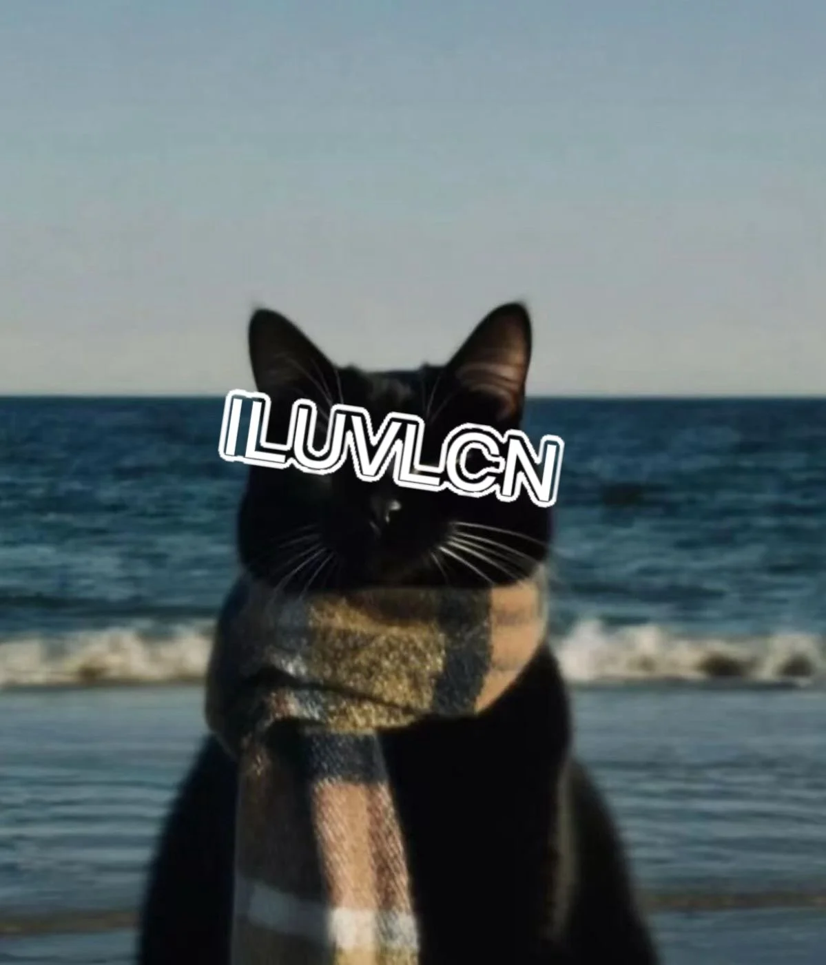 Black cat wearing a plaid scarf at the beach with ocean and sky in the background, with white text overlay reading 'ILUVLMCN' across the face.