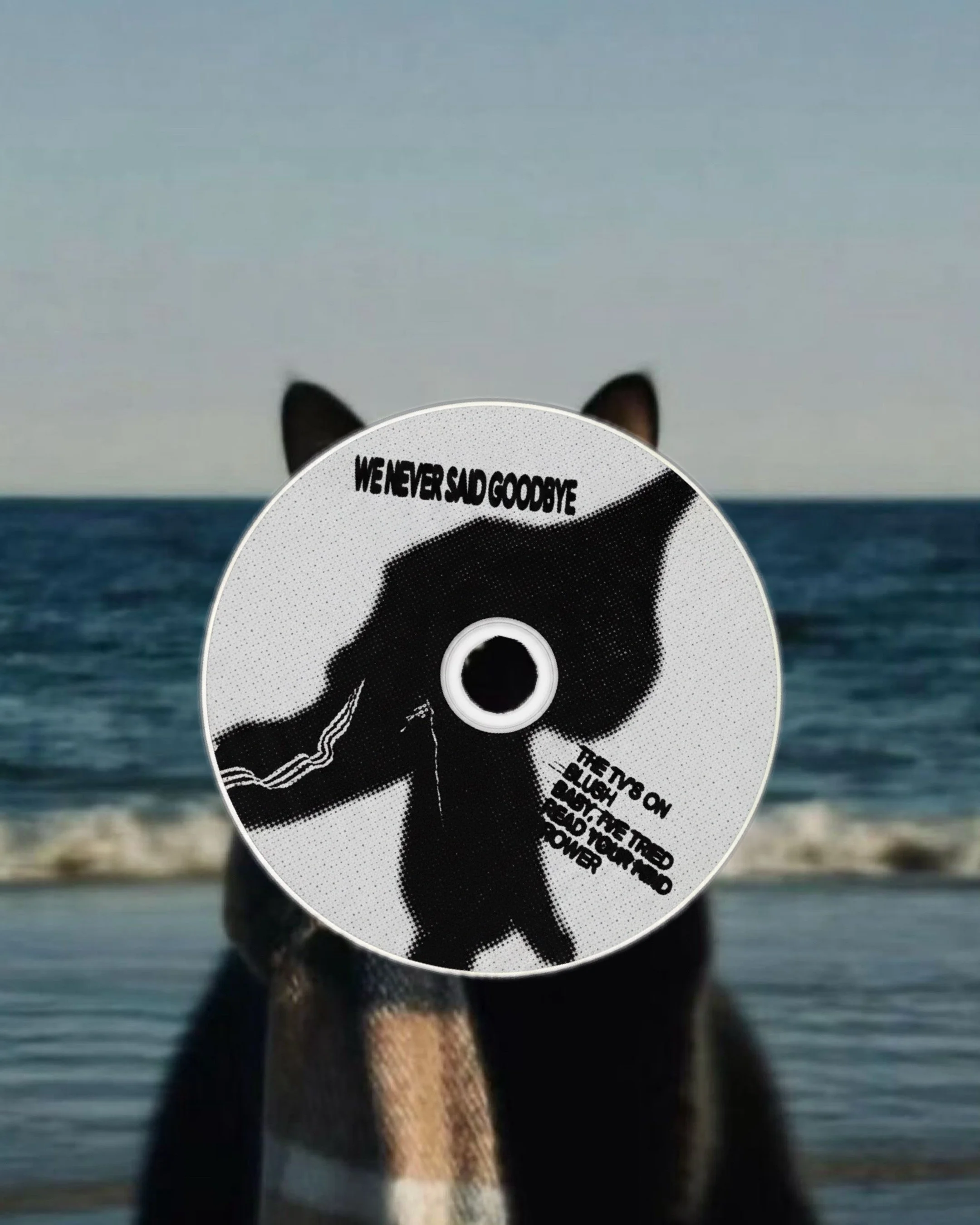 WE NEVER SAID GOODBYE (EP) CD