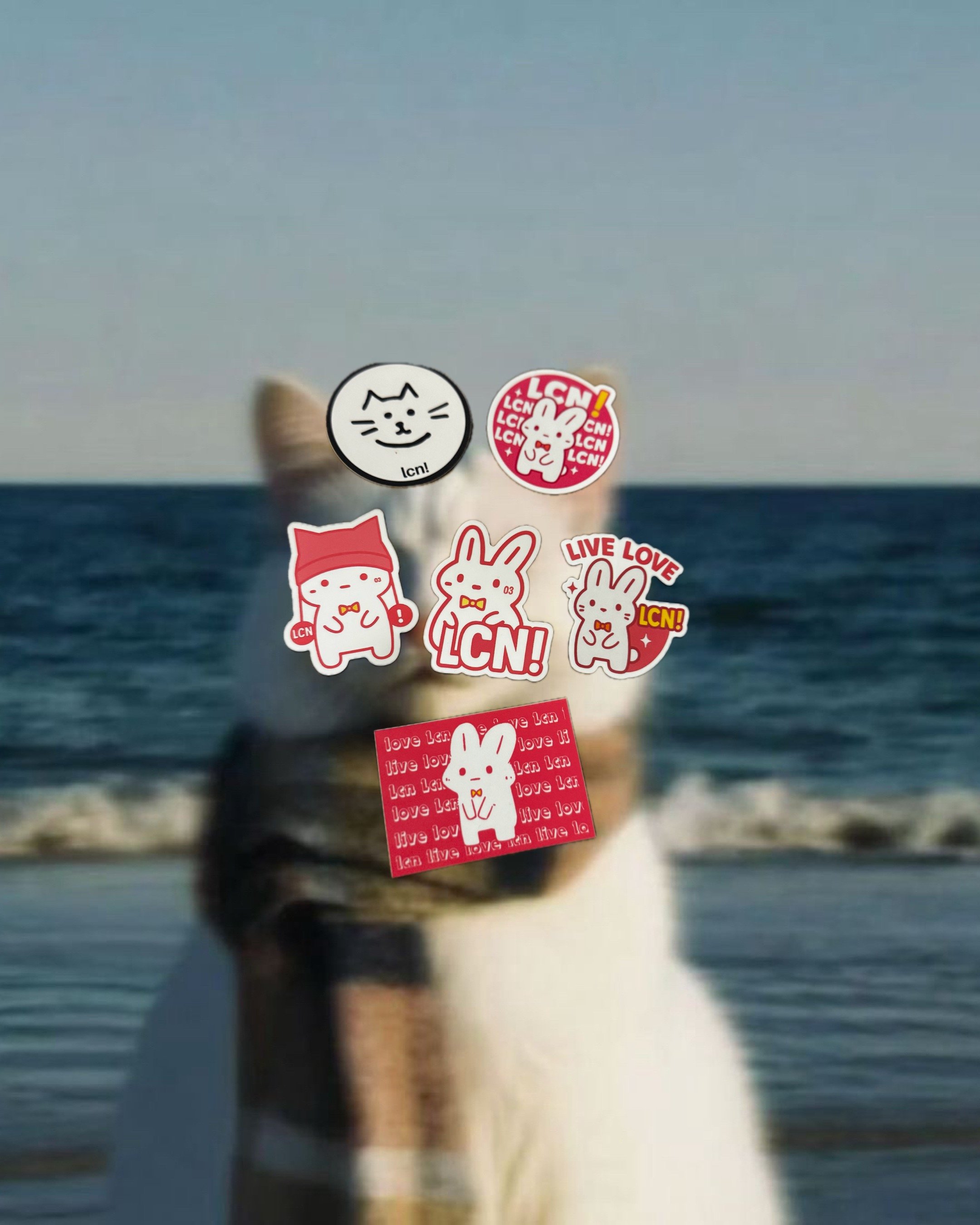 LCN! STICKER PACK