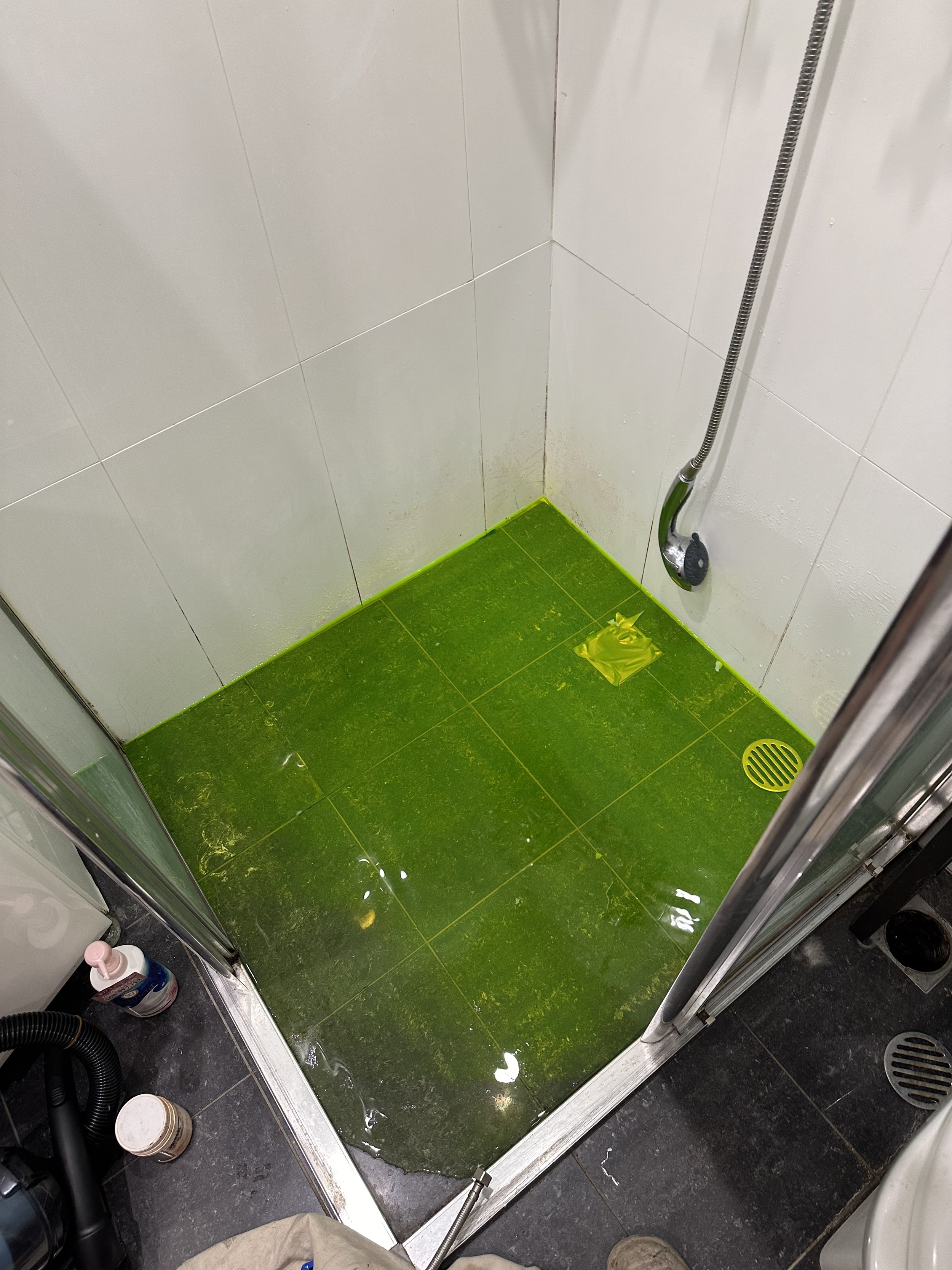 A corner of a shower with white tiled walls and a green tiled floor, which is covered in dirty water and algae, with a yellow drain cover, a shower head, and some bottles and soap near the door.