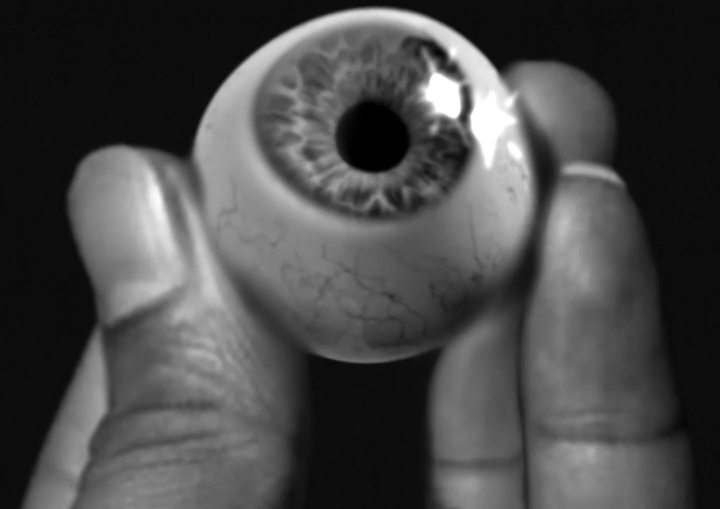 &ldquo;Beauty is in the eye of the beholder&rdquo;

Artist: ErrkaArtz
Duration: 5 hours
Medium: Digital Charcoal and Graphite
~Prints available for wall art and decor ✏️🎨~

#procreate #digitalart #art #artist #walldecor #wallart #artistsoninstagram 