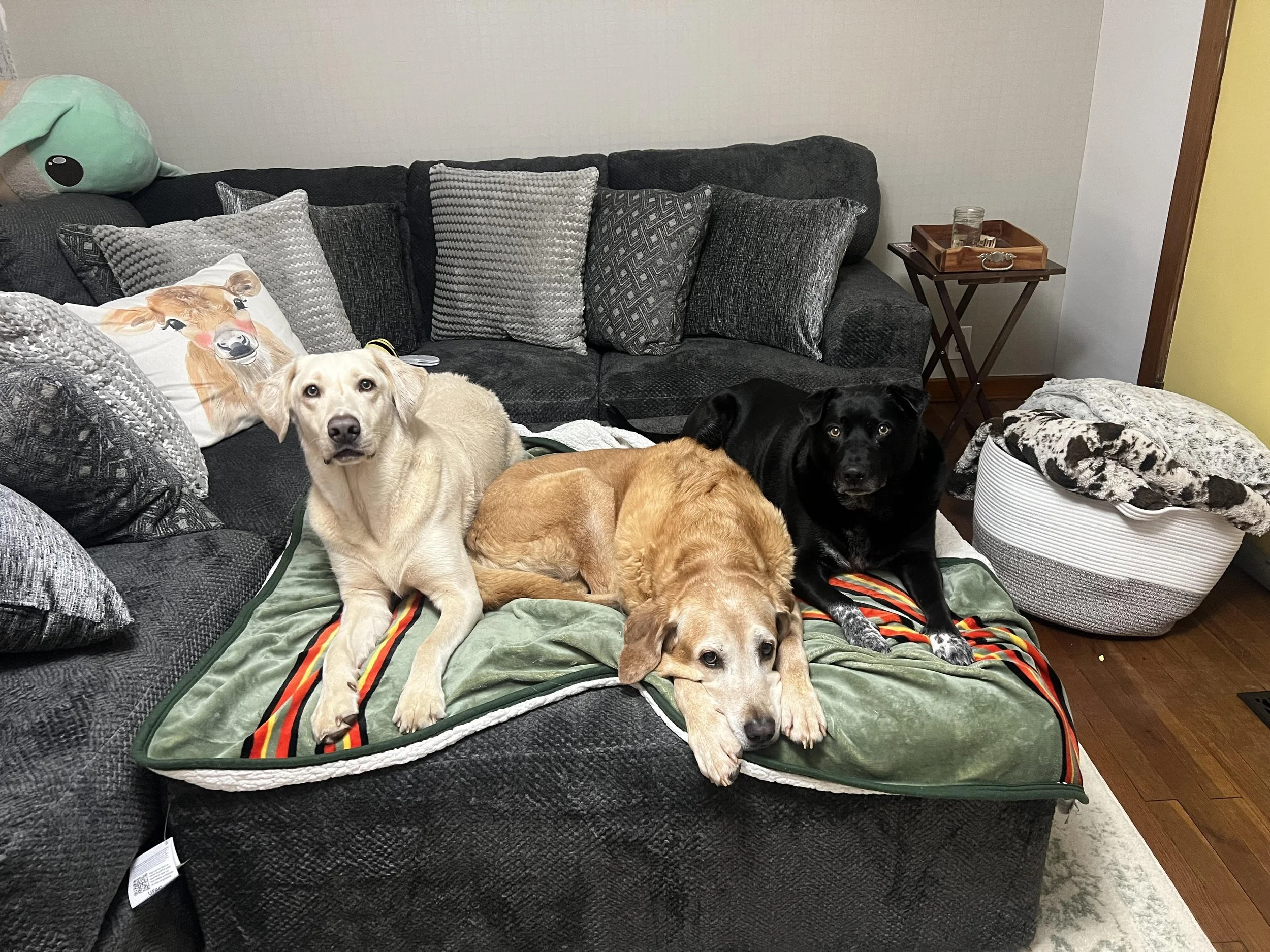 Apollo, Rupp, and Brody