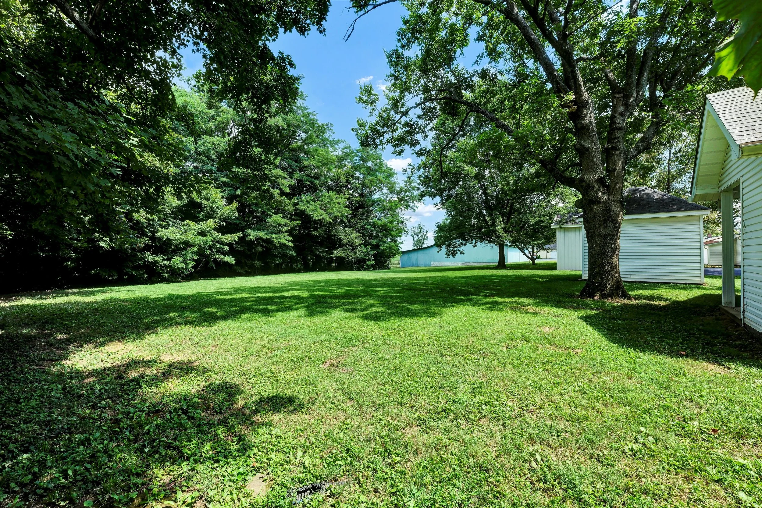 A lush green backyard with a large tree, well-maintained grass, and a white house with siding. There is a shed or outbuilding in the background and shade cast by the tree.