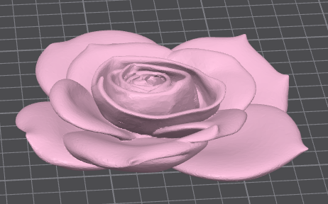 rose side.png
