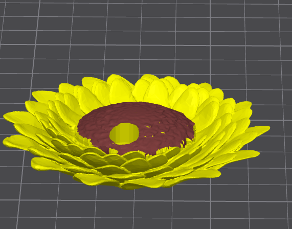 sunflower.png