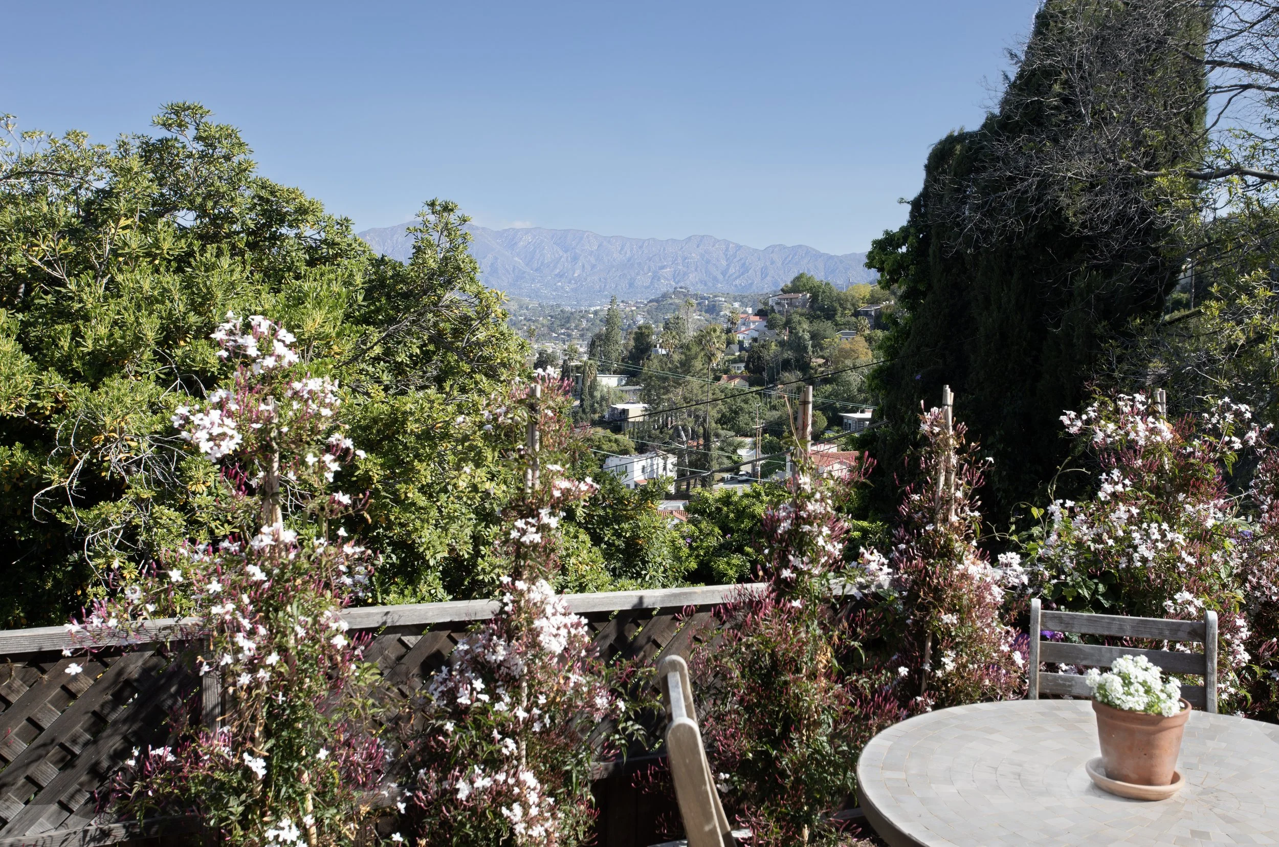 7H5A1185 (edited).jpg