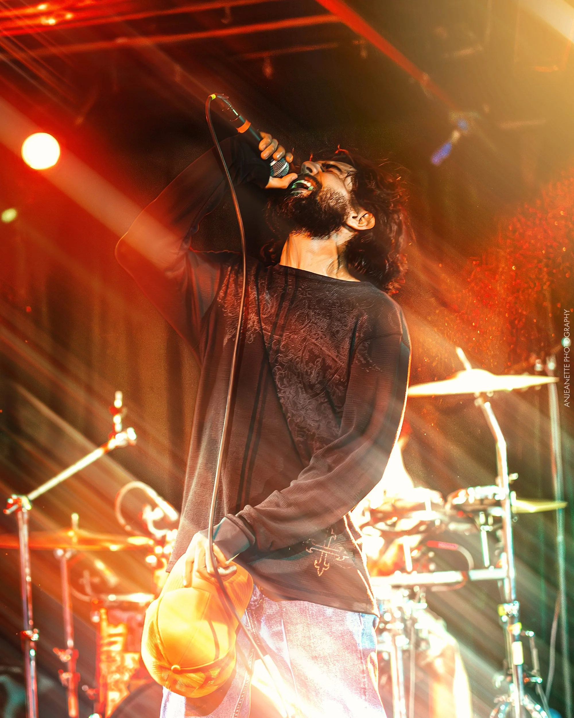 best Concert Photographer in Phoenix, AZ near me Anjeanette Photography Live Music , tours, festivals, local presenters