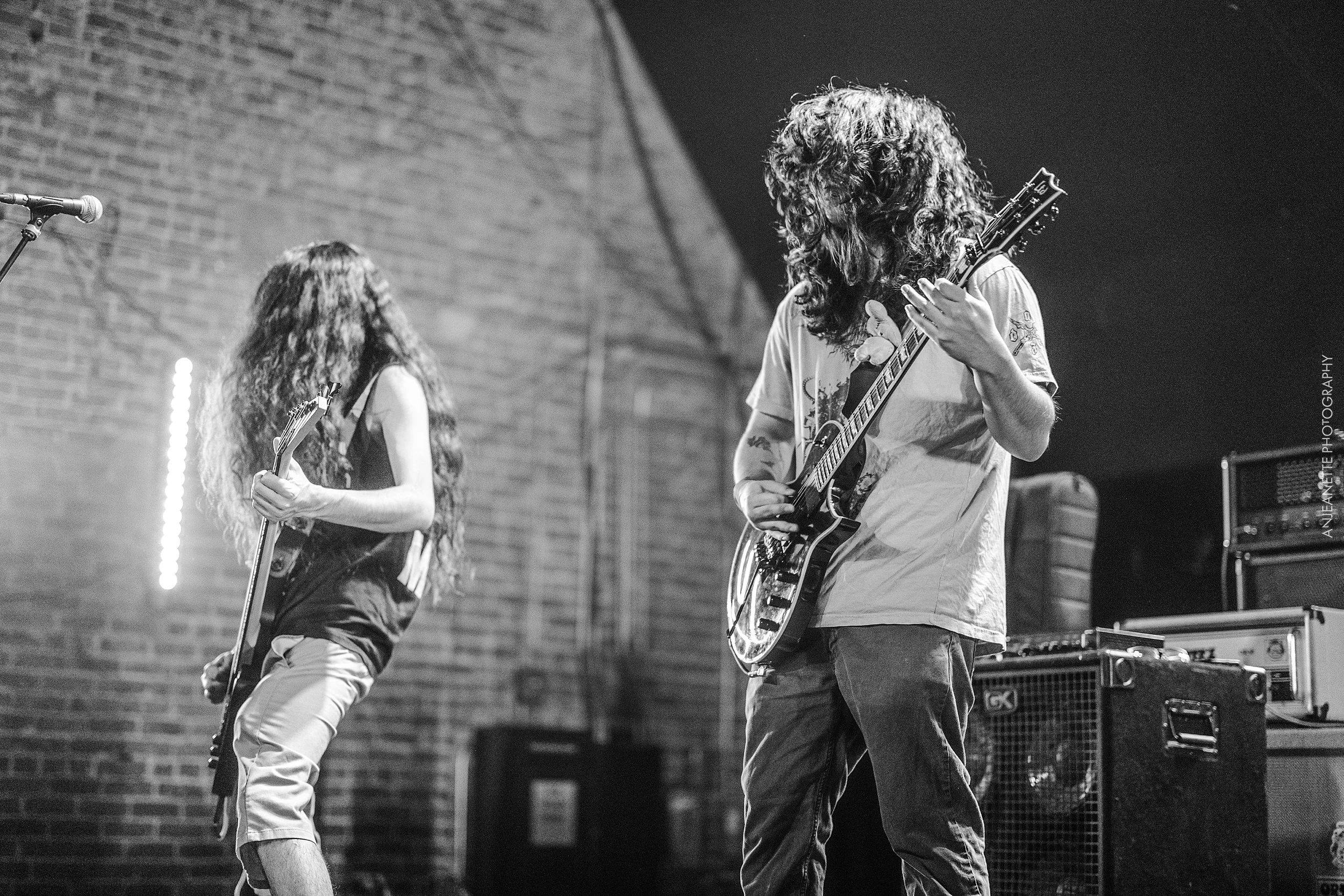 best  Concert Photographer in Phoenix, AZ near me Anjeanette Photography top rated music photos nile theatre mesa arizona dog yard ak-chin