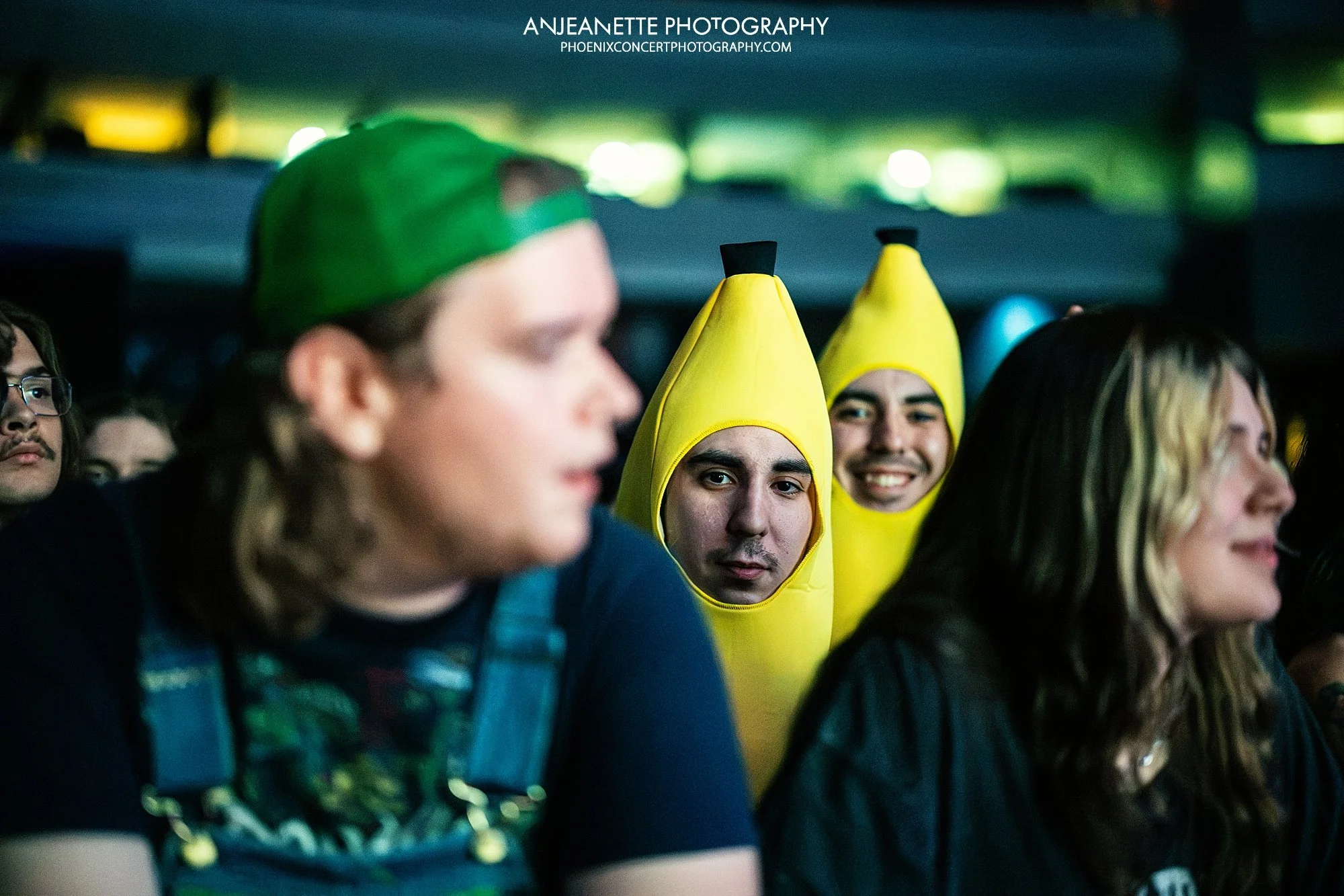 best Concert Photographer in Phoenix, AZ near me Anjeanette Photography top rated music photos primus, les claypool, lennon, deliruim, frog brigade, live nation
