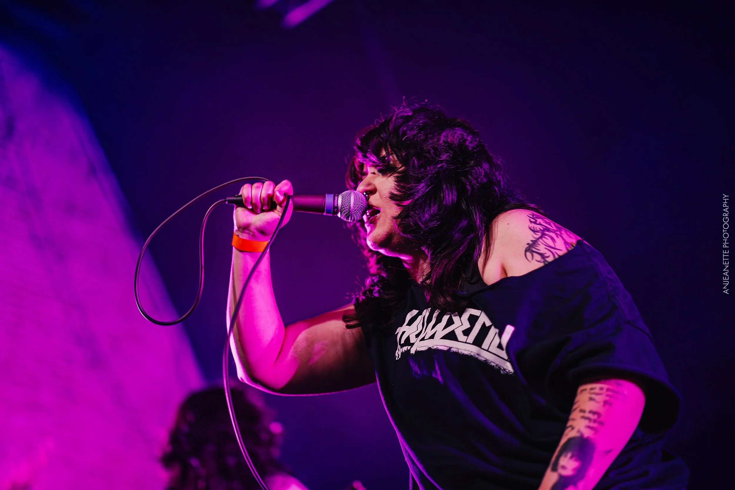 best  Concert Photographer in Phoenix, AZ near me Anjeanette Photography top rated music photos nile theatre mesa arizona dog yard ak-chin