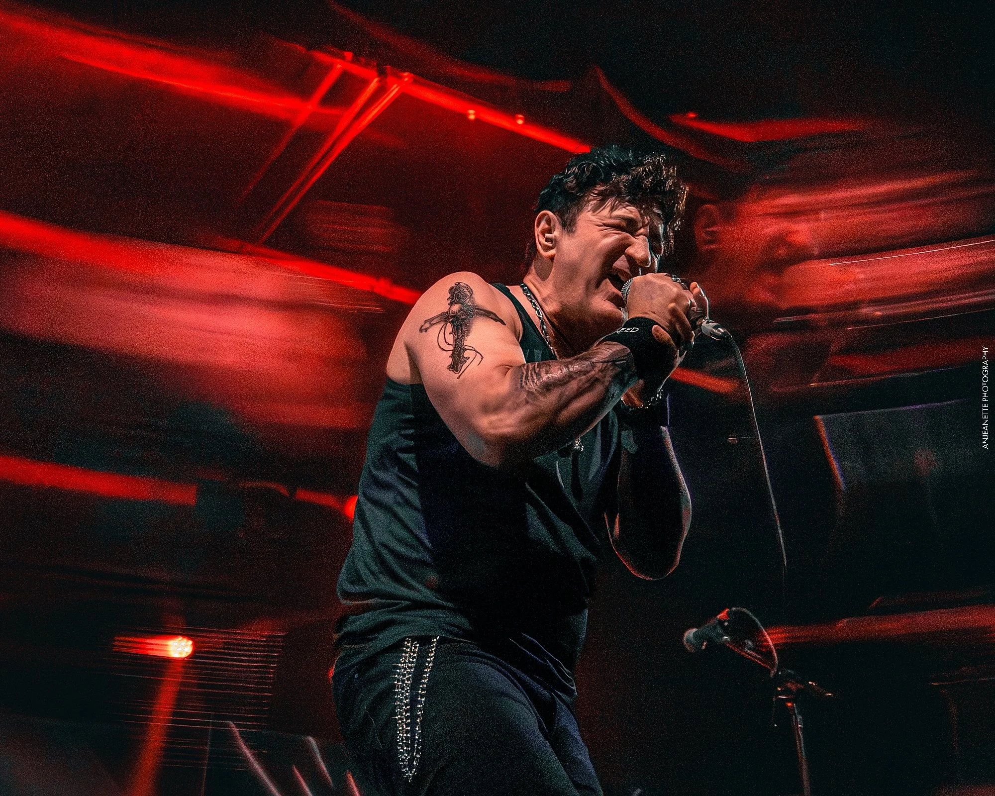 best Concert Photographer in Phoenix, AZ near me Anjeanette Photography Live Music  tours, festivals, local presenters, Marquee theater Higher creed tribute