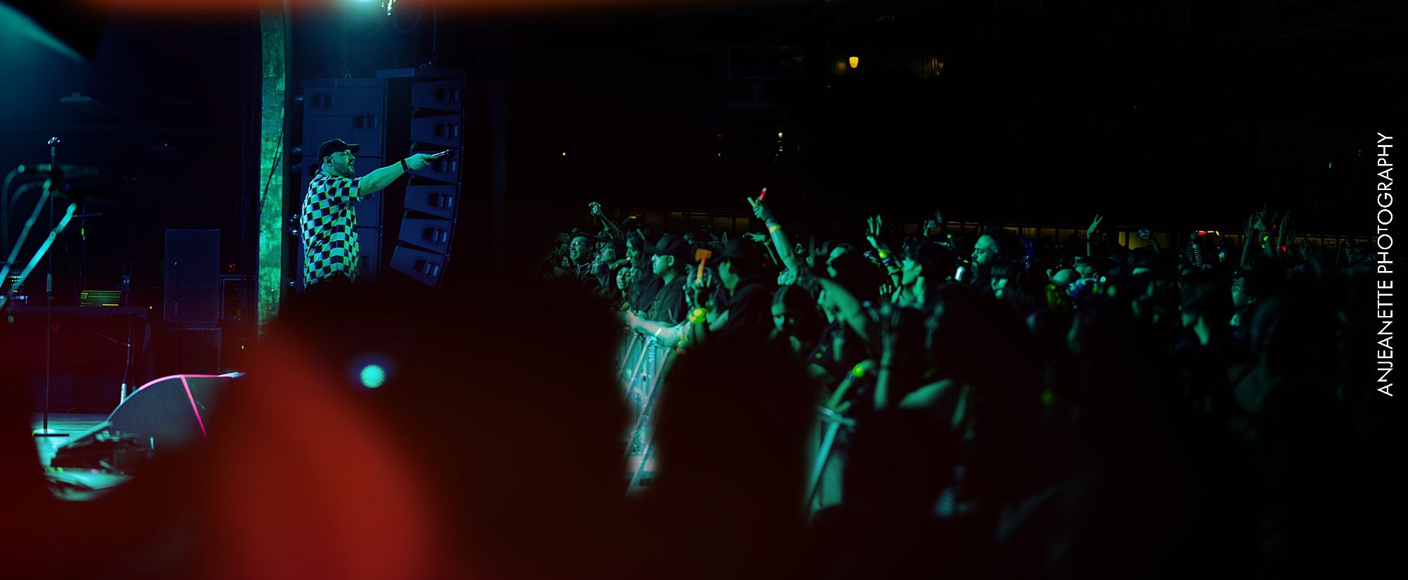 best Concert Photographer in Phoenix, AZ near me Anjeanette Photography Live Music  tours, festivals, local presenters
