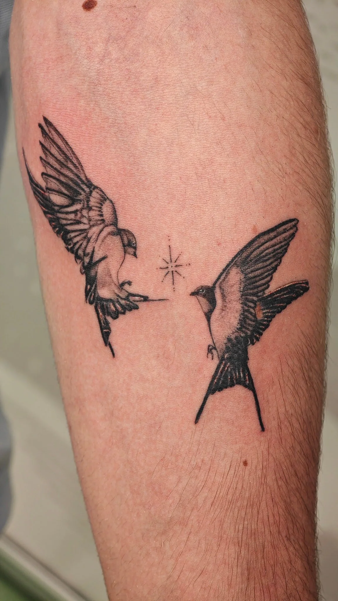 Tattoo of two hummingbirds facing each other with a star-shaped design between them.