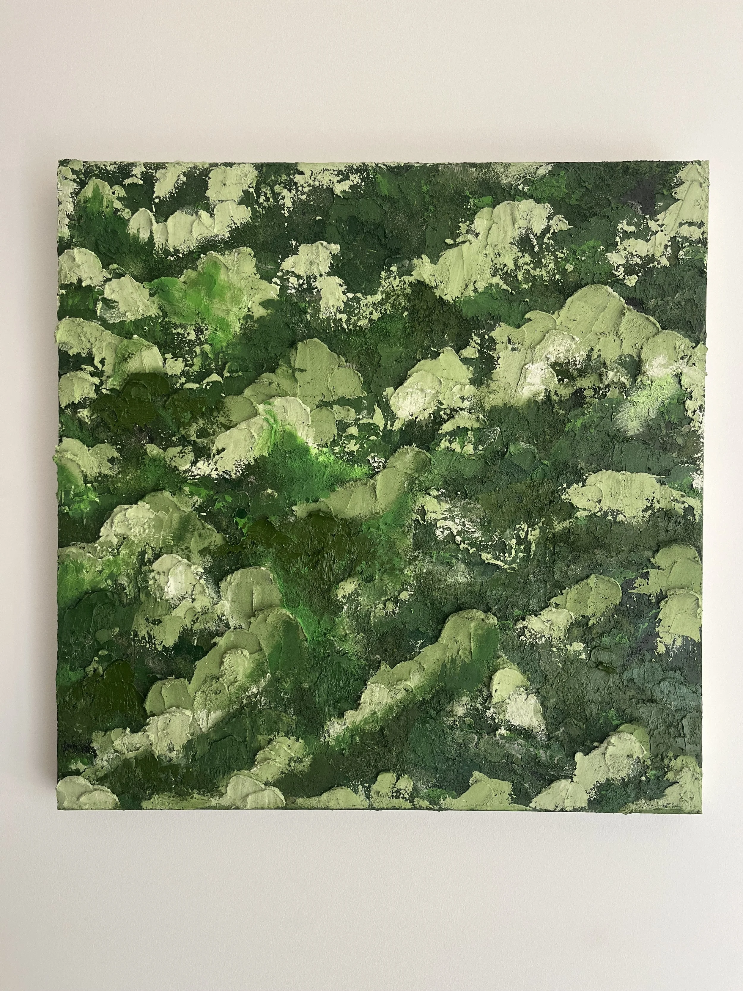 Australian Forest no.3