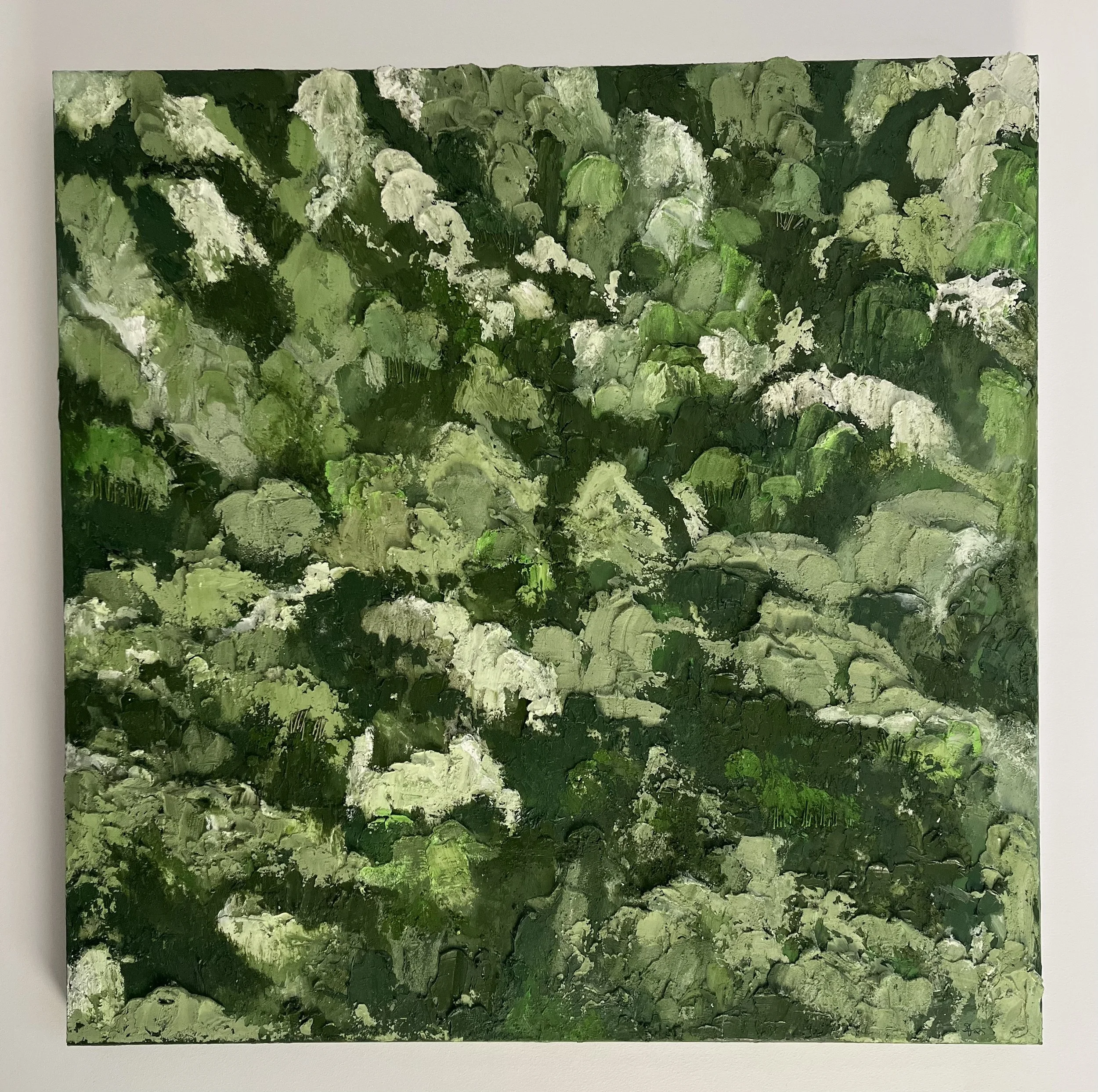 Australian Forest no.1