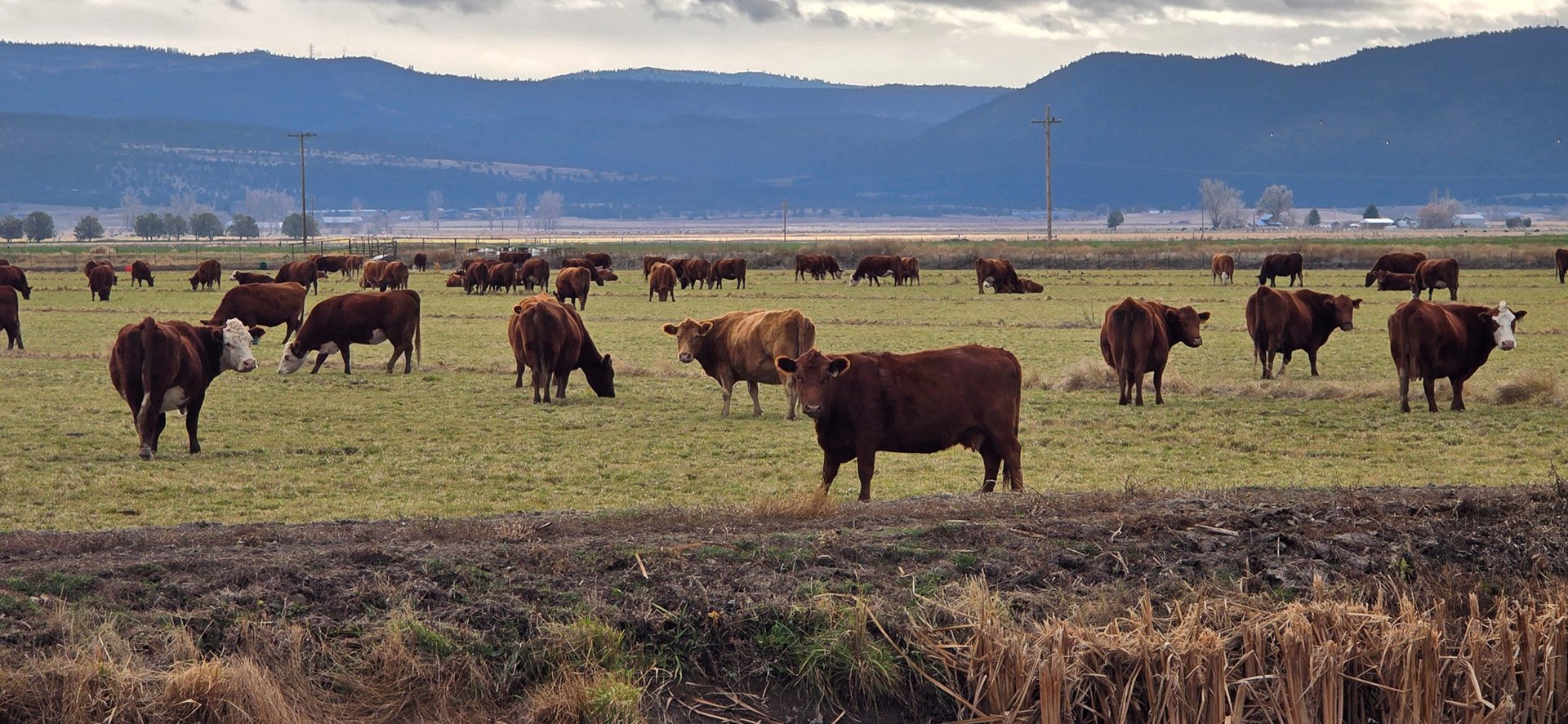 The Dairy That Helped Shape the Klamath Basin