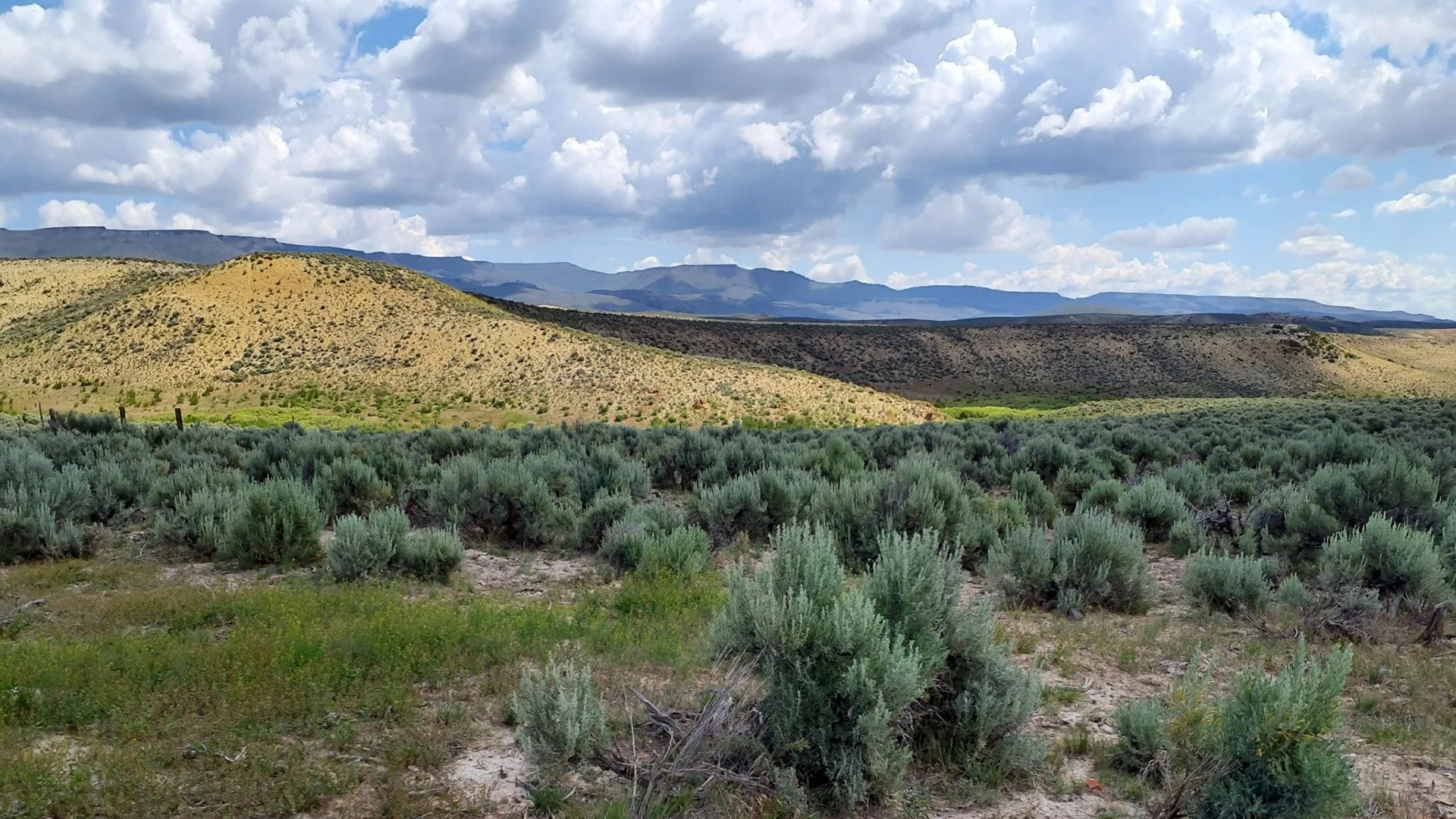 BLM Approves Lithium Exploration in Southeast Oregon
