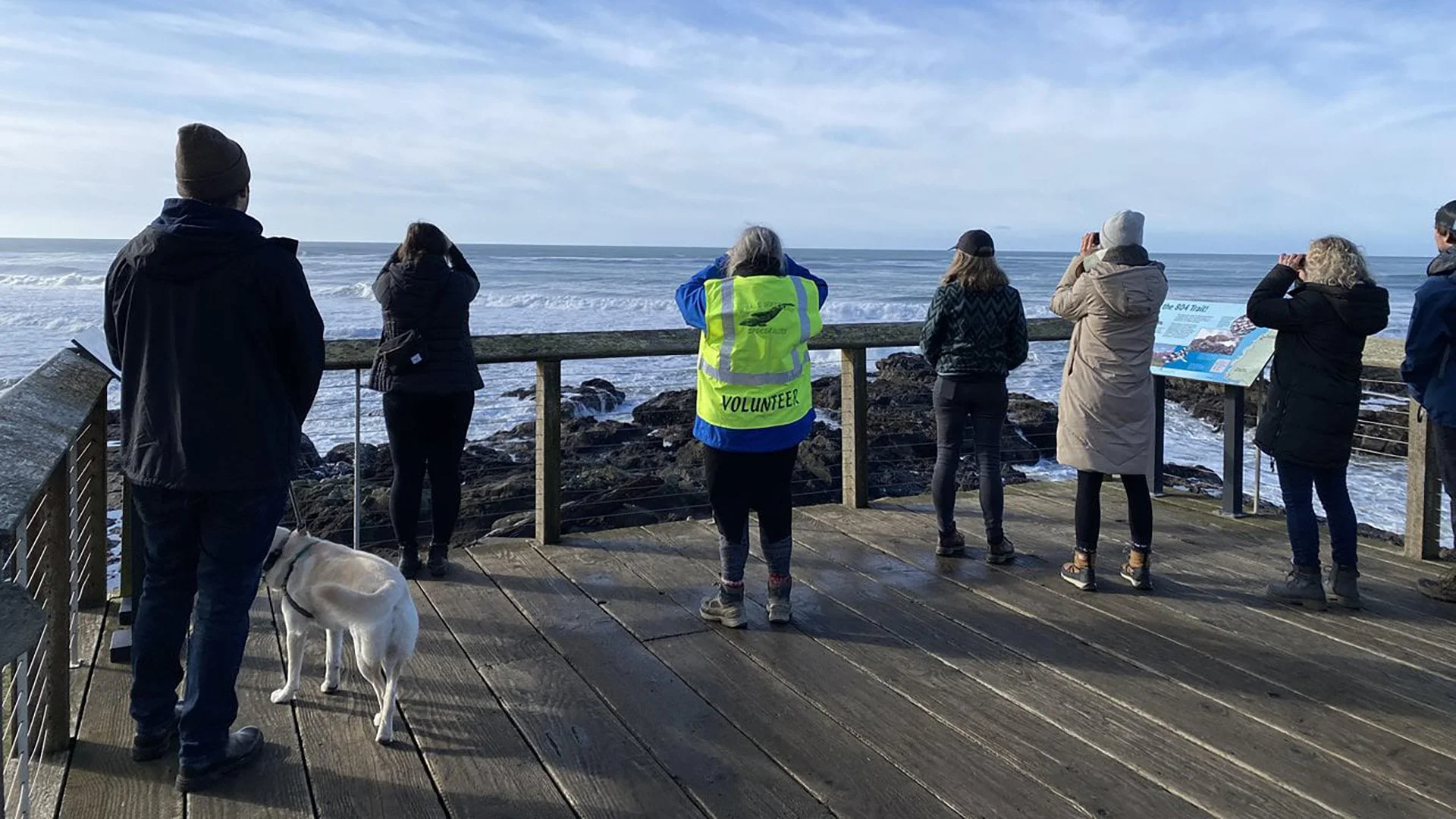 Oregon State Parks to Host Winter Whale Watch Week Along the Coast