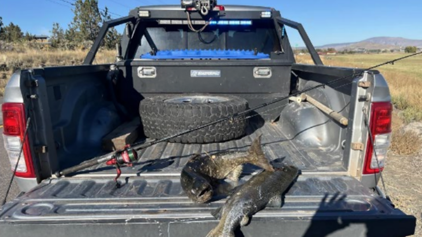 Salmon Poached in Klamath Basin