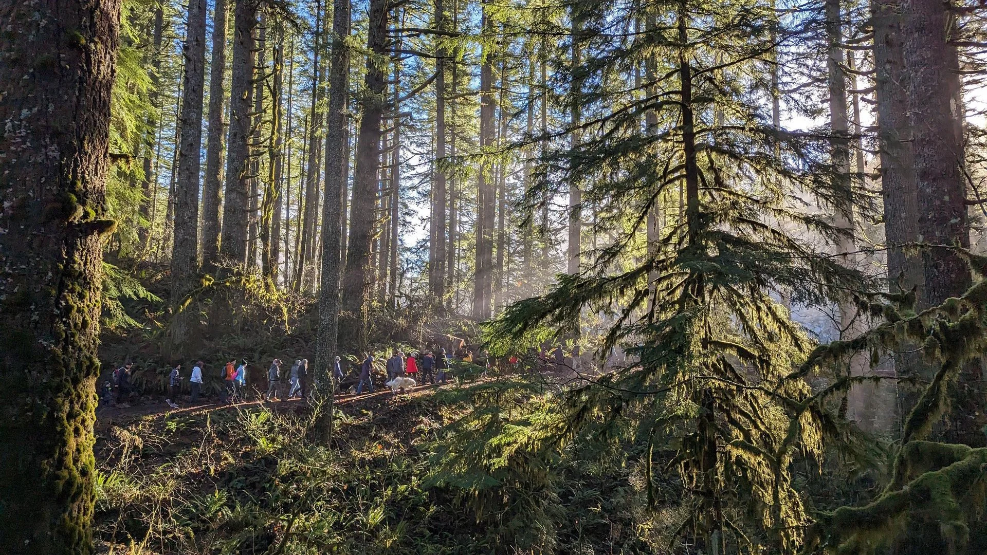 Guided First Day Hikes Set for New Year’s Day Across Oregon