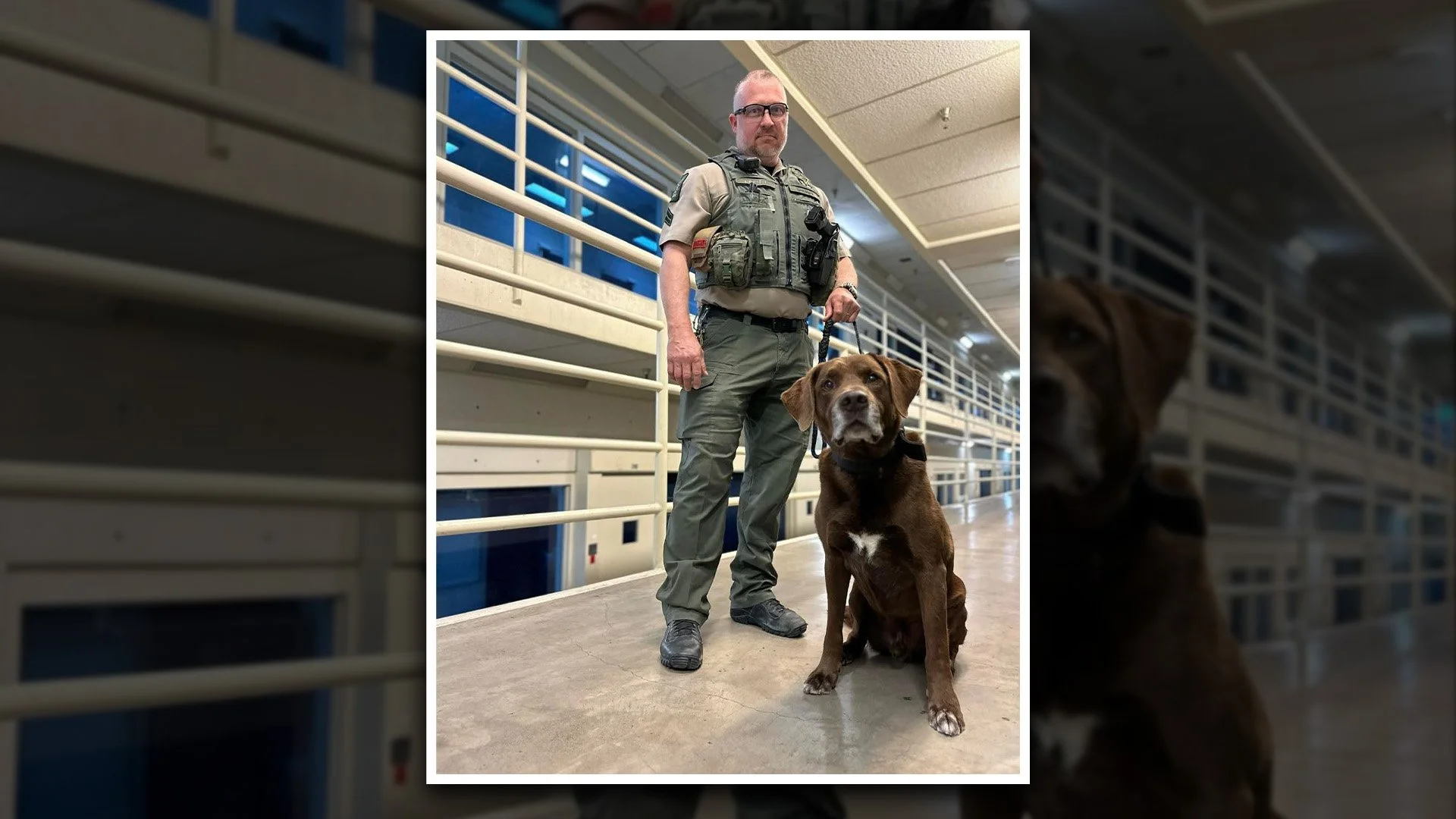 Jail K9 Koda Remembered