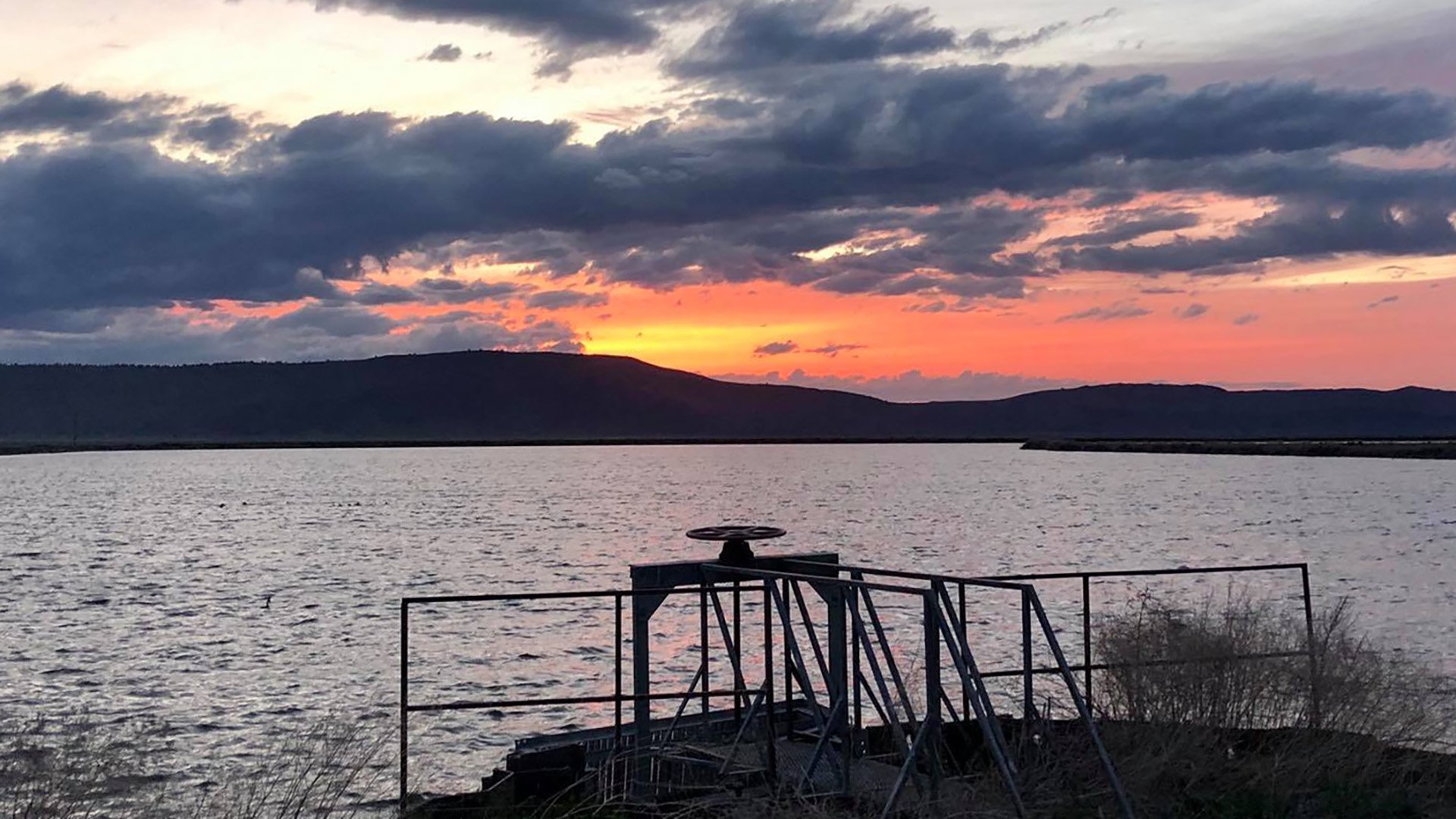 Water Users Respond to 2026 Water Plan