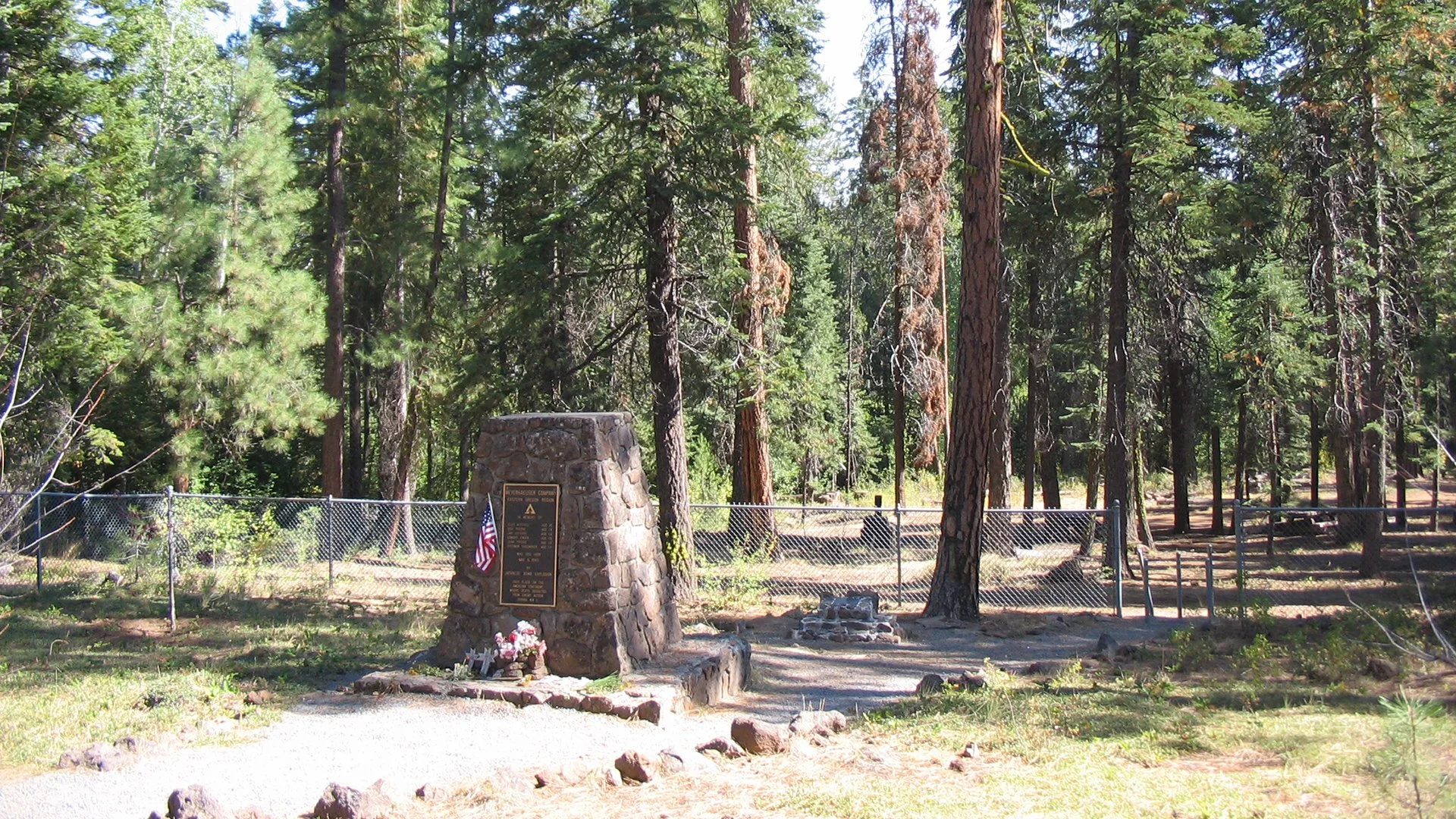 Southern Oregon Heritage Trees Highlighted as State Program Marks 30 Years