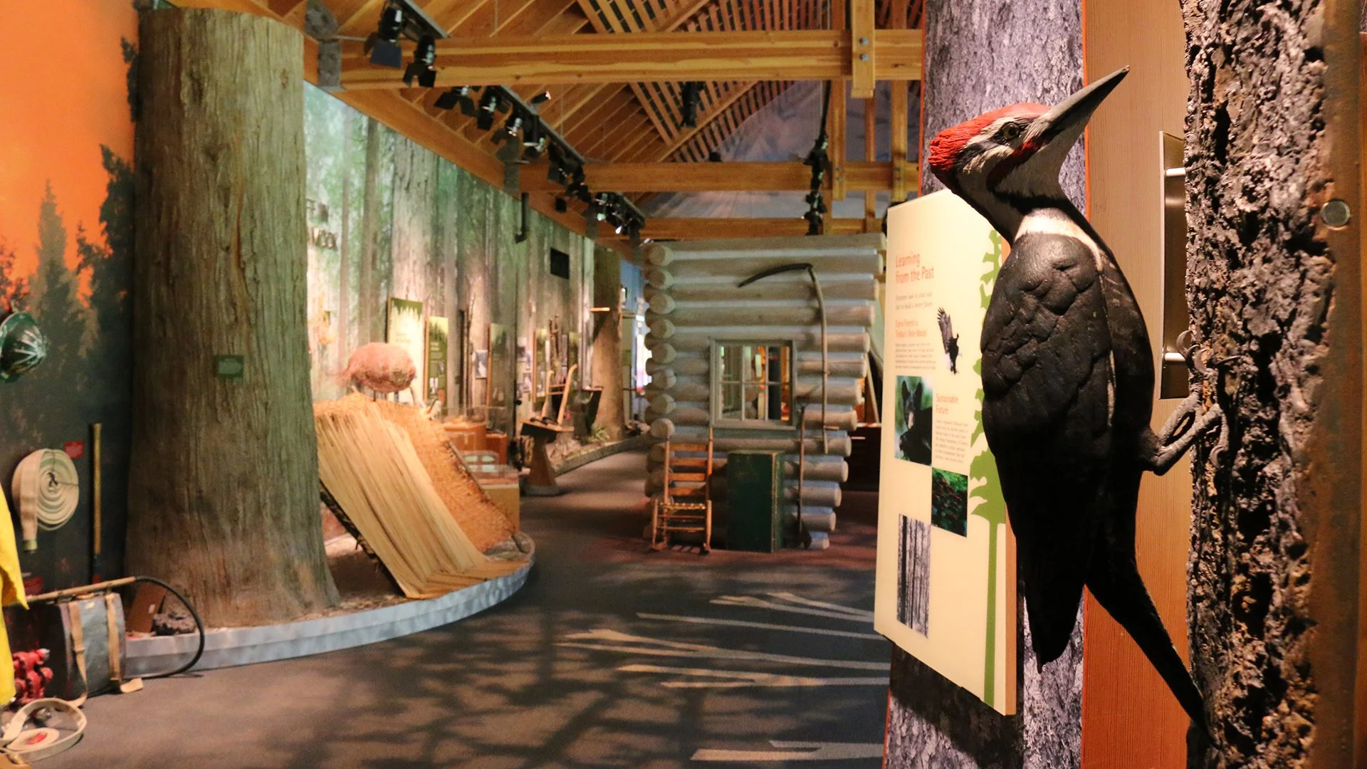 Tillamook Forest Center Celebrates 20 Years
