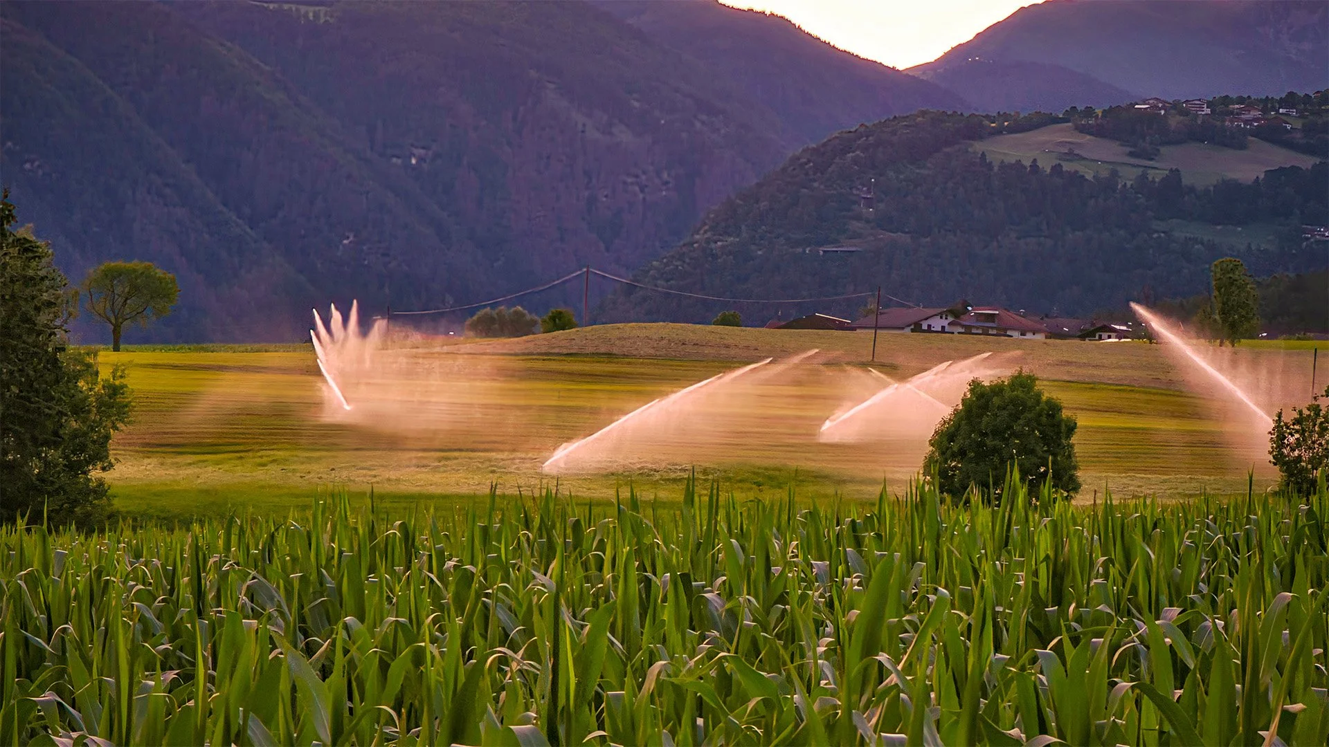 KWUA Warns of Reduced Water for 2026