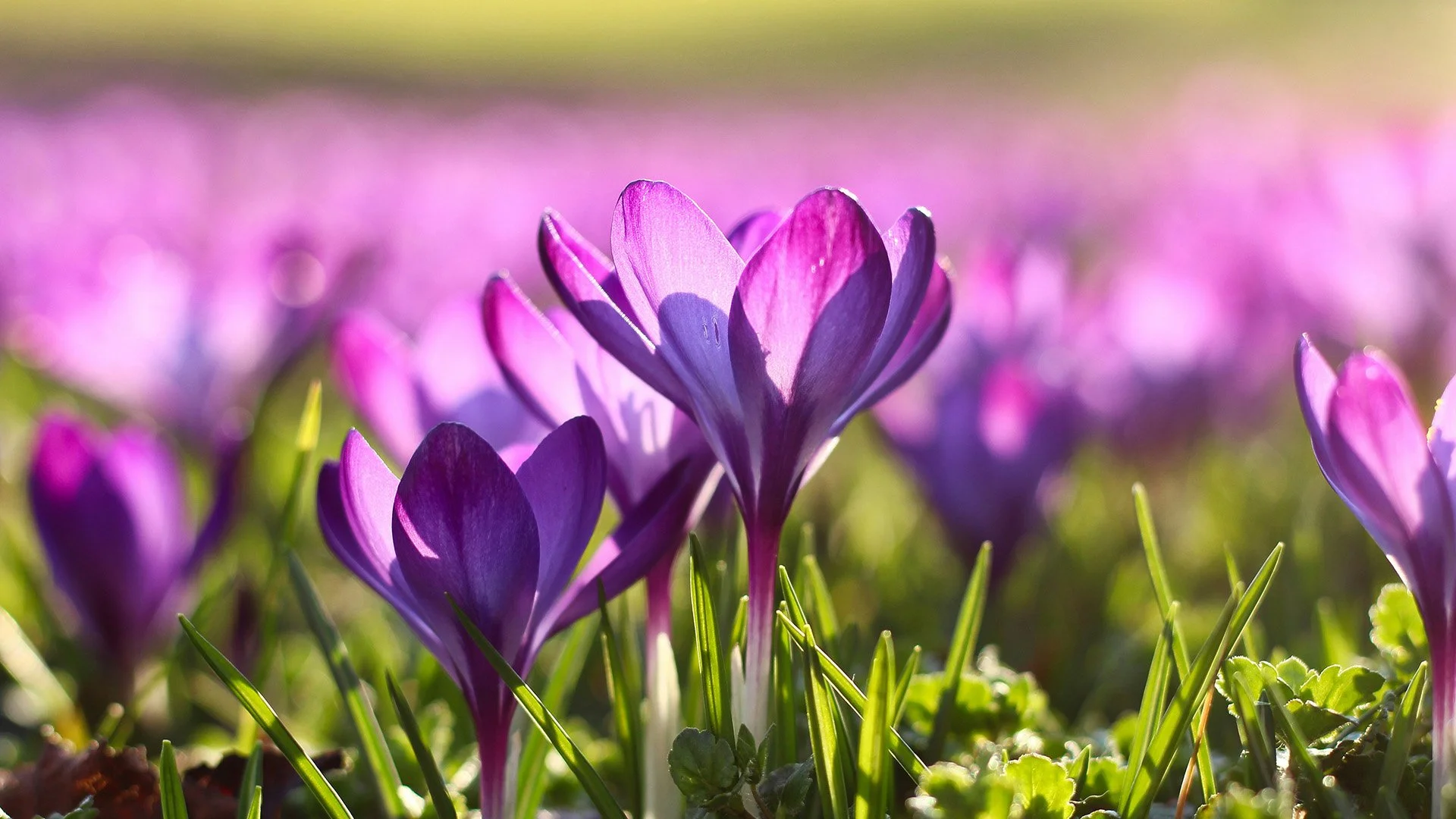 Warm Holiday Weekend Ahead Across the Region