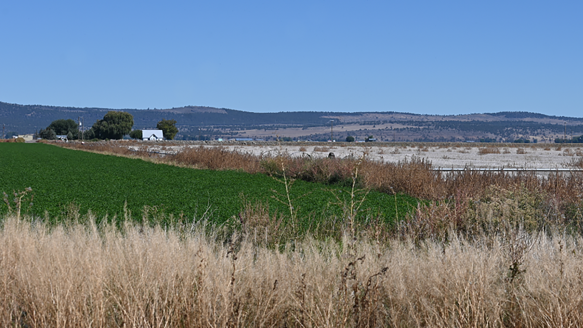 Klamath Basin Agriculture Faces Severe Irrigation Shortfall