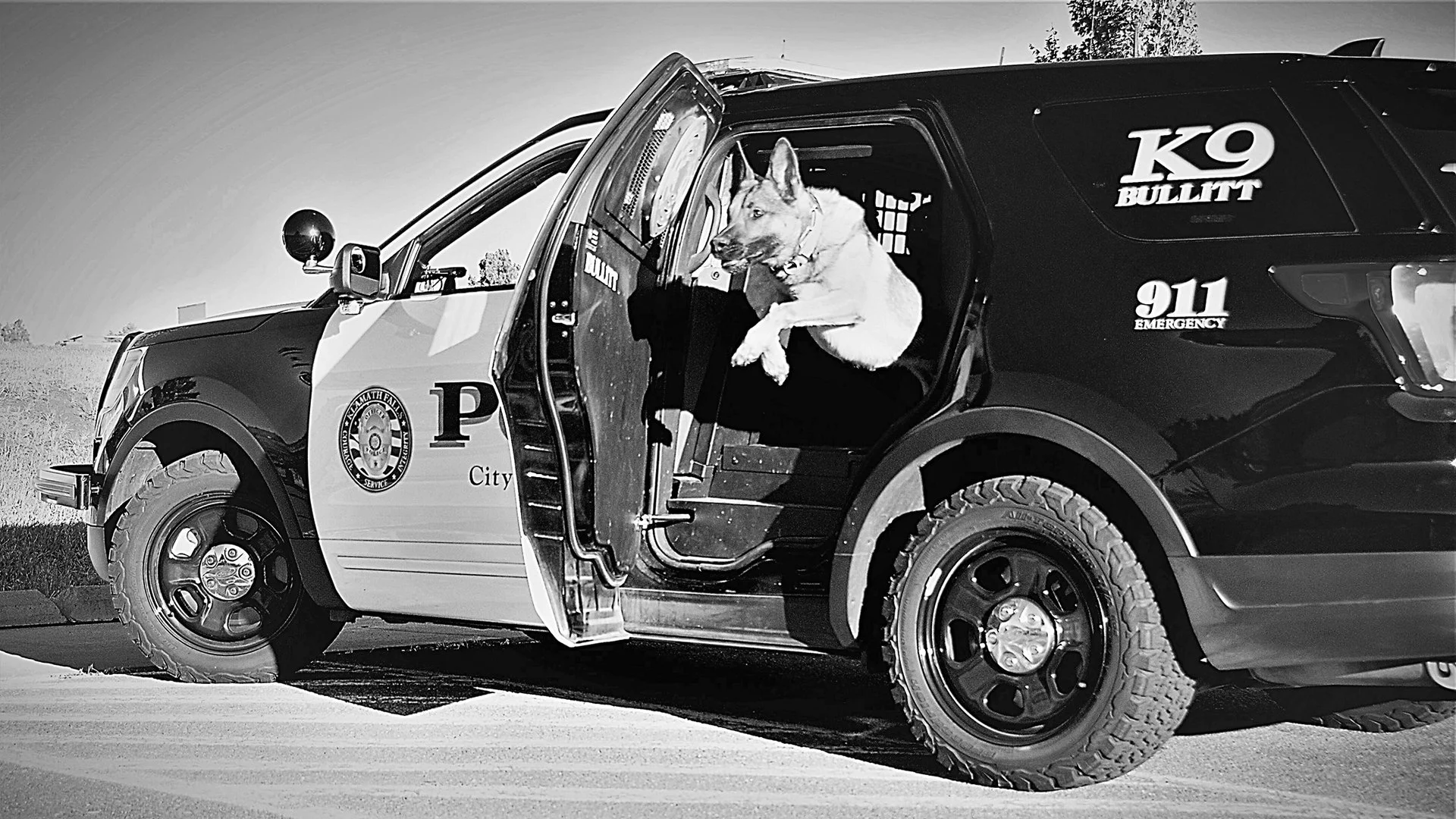 Klamath Falls Police K9 Bullitt Retires Following Cancer Diagnosis