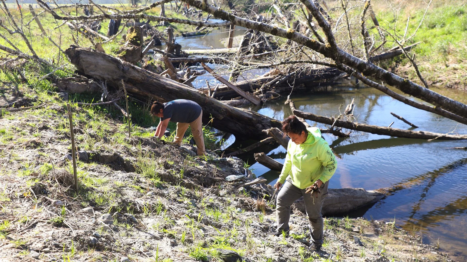 Prairie Creek Restoration Nears Public Opening (VIDEO)