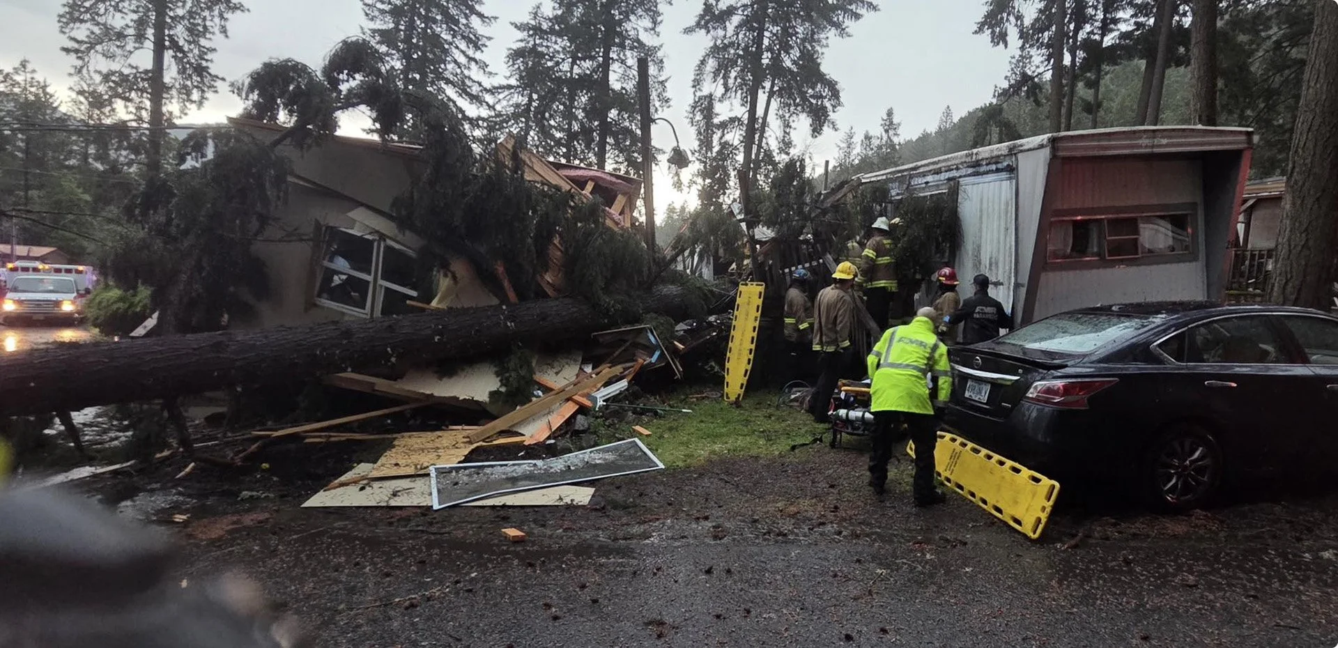 Tree Crashes Into Two Homes Near Grants Pass