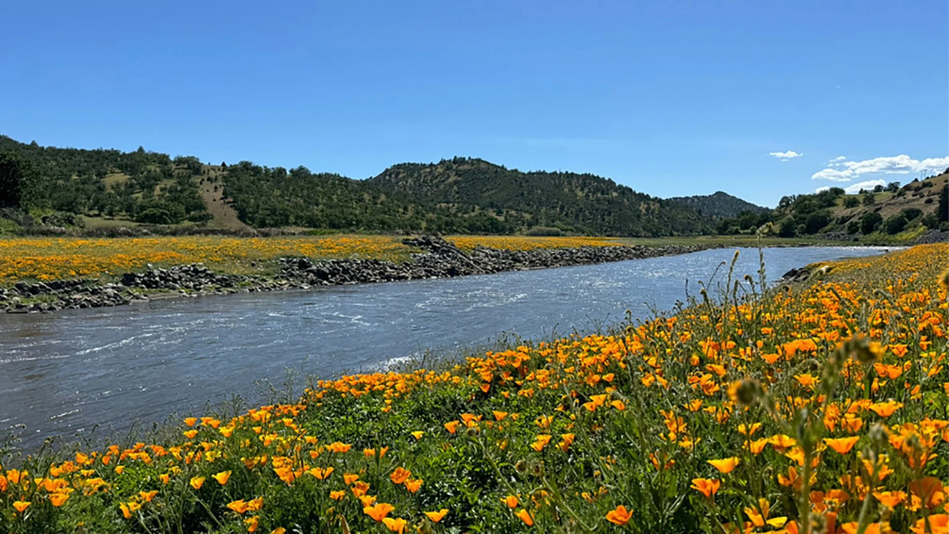 Klamath River Dam Removal Project Earns International Award