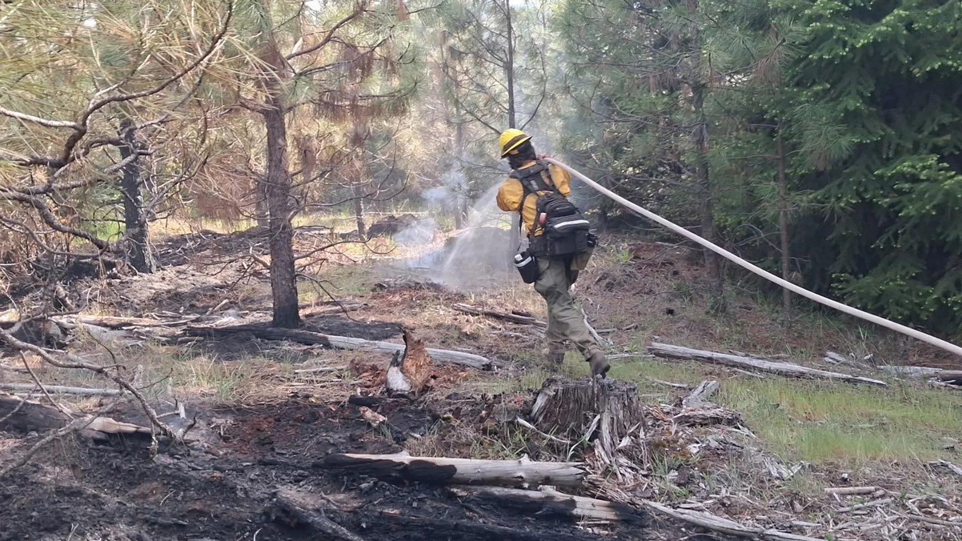 Carney Flat Fire Stopped at 23 Acres