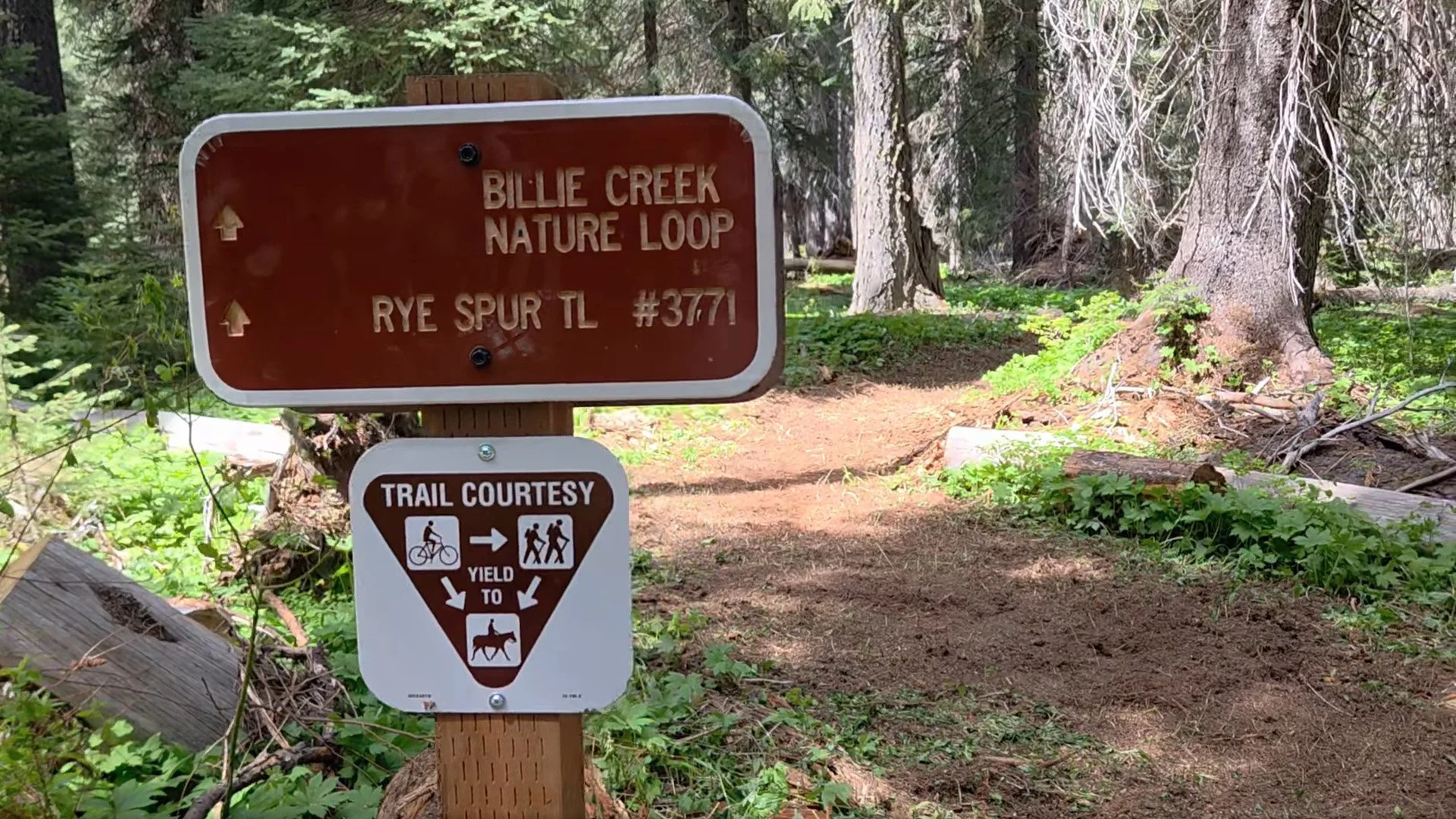 KTA Reopens Lake of the Woods Trail Connector
