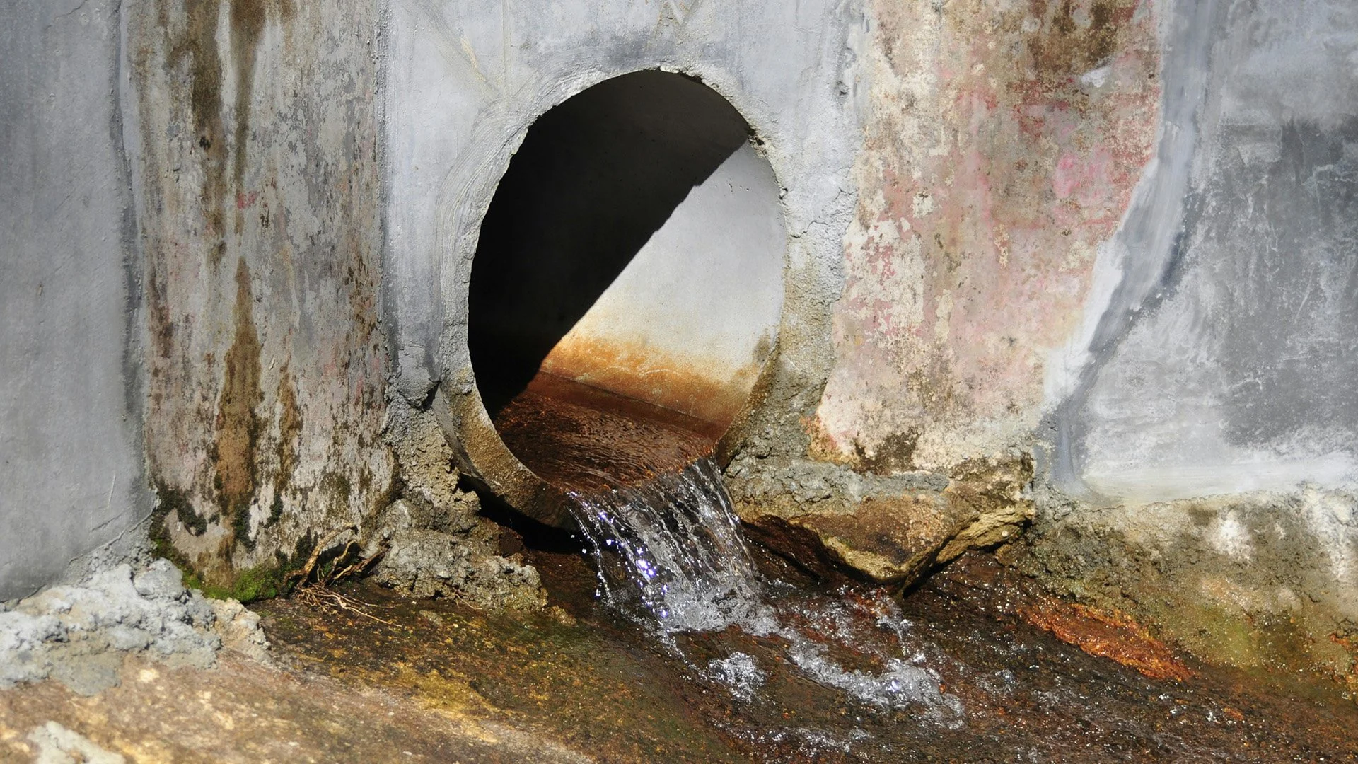 Pollution Violations in Brookings, Charleston and Wolf Creek Lead to DEQ Fines