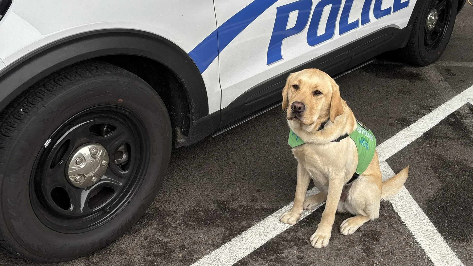 K9 Cisco Joins Ashland Police
