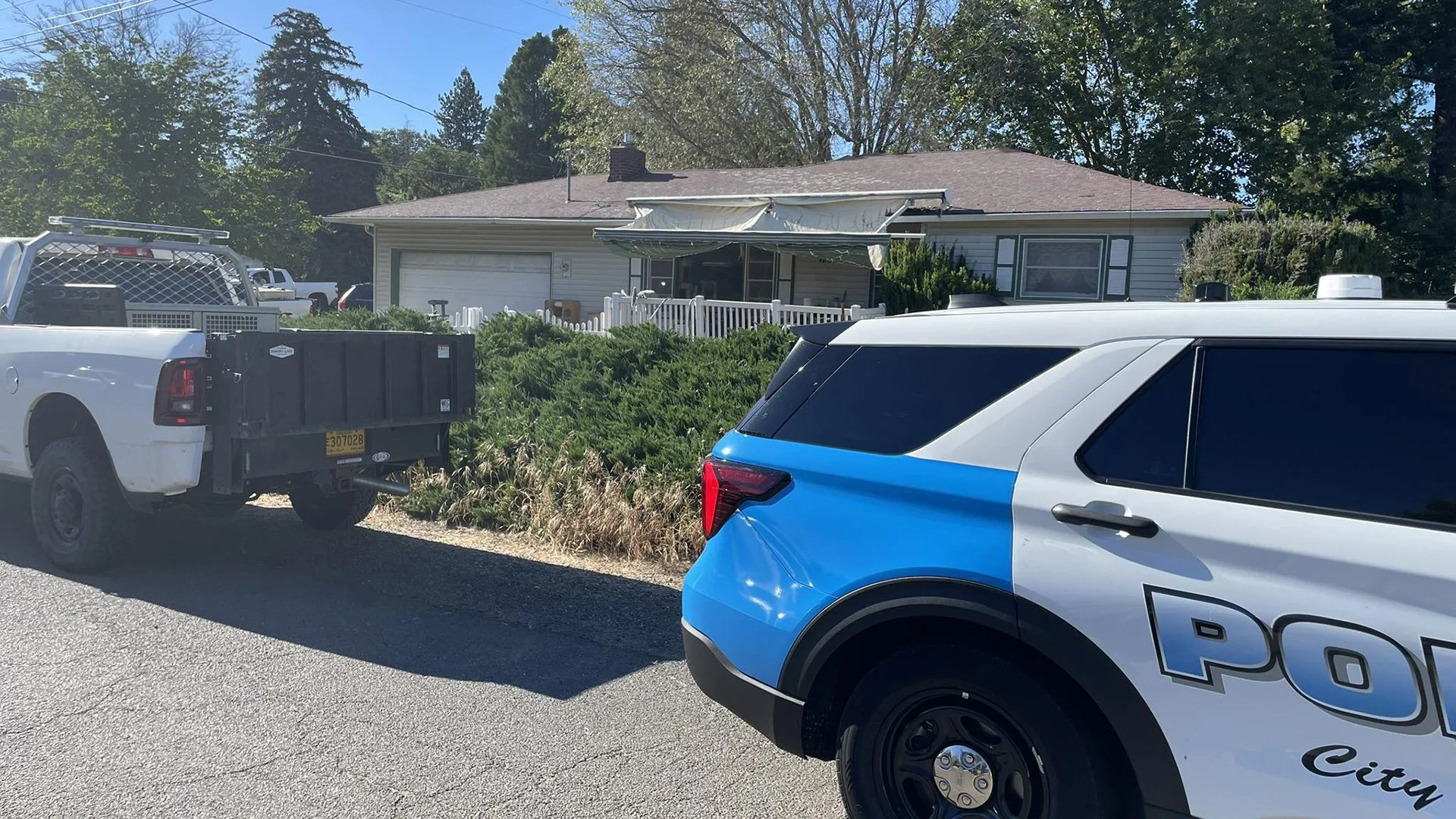 MPD Investigates Animal Neglect Case