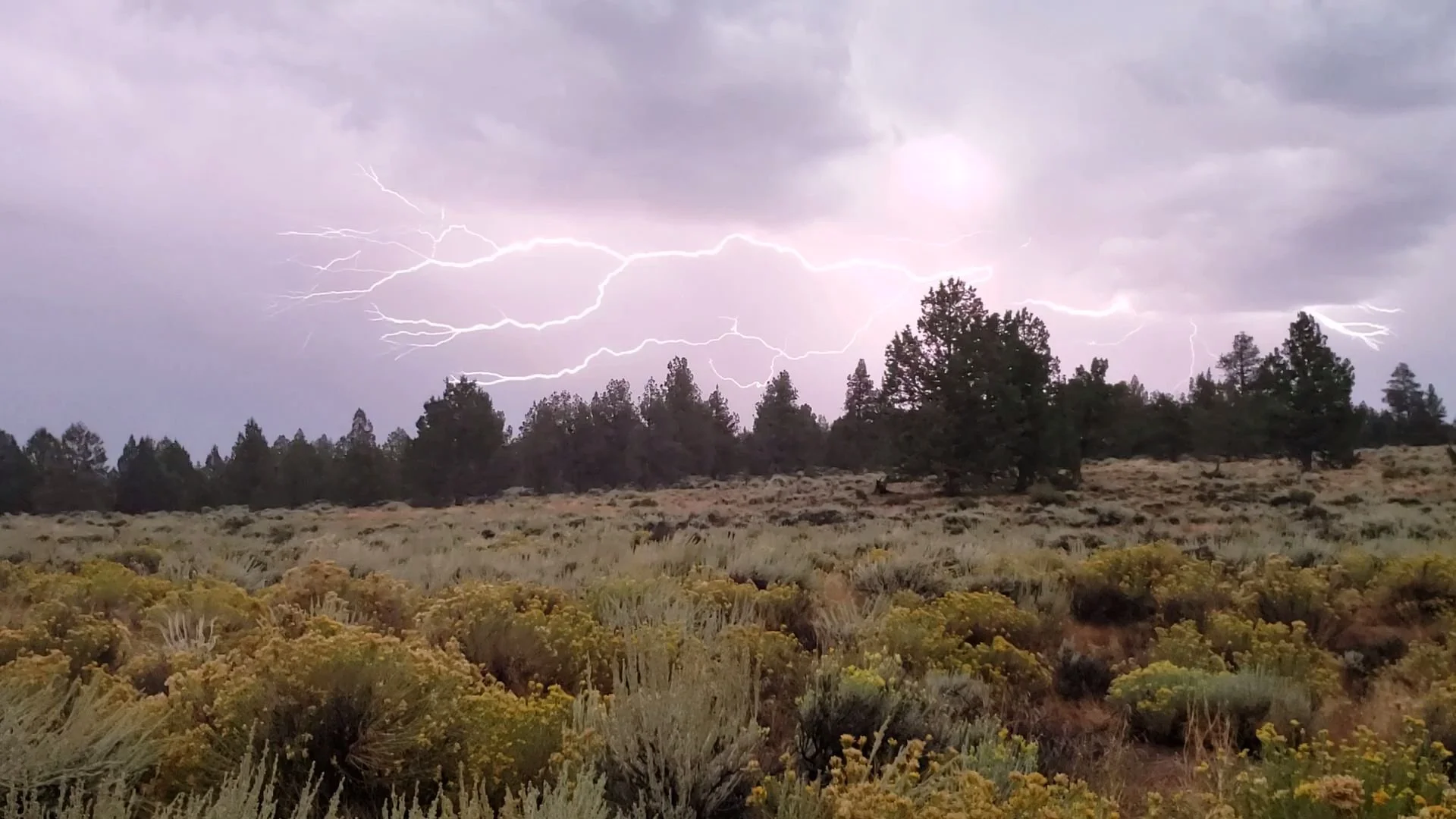 Red Flag Warnings Issued for Abundant Lightning