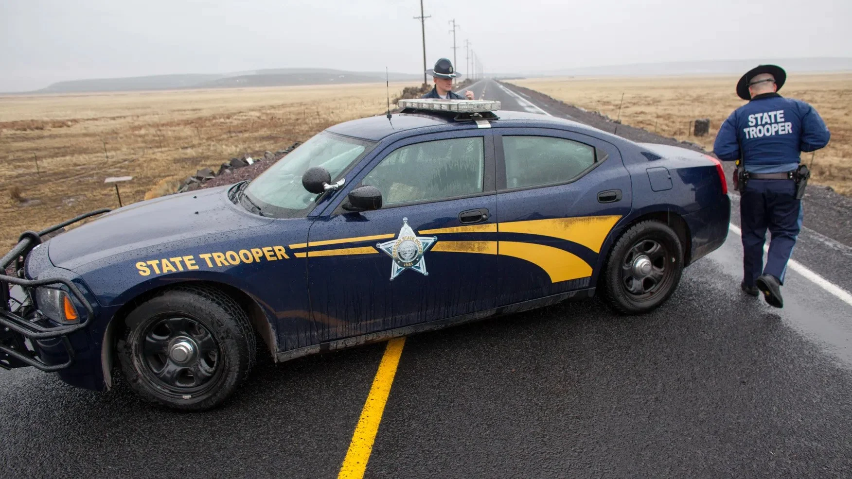 Man Killed on Highway 97 While Trying to Catch Dog