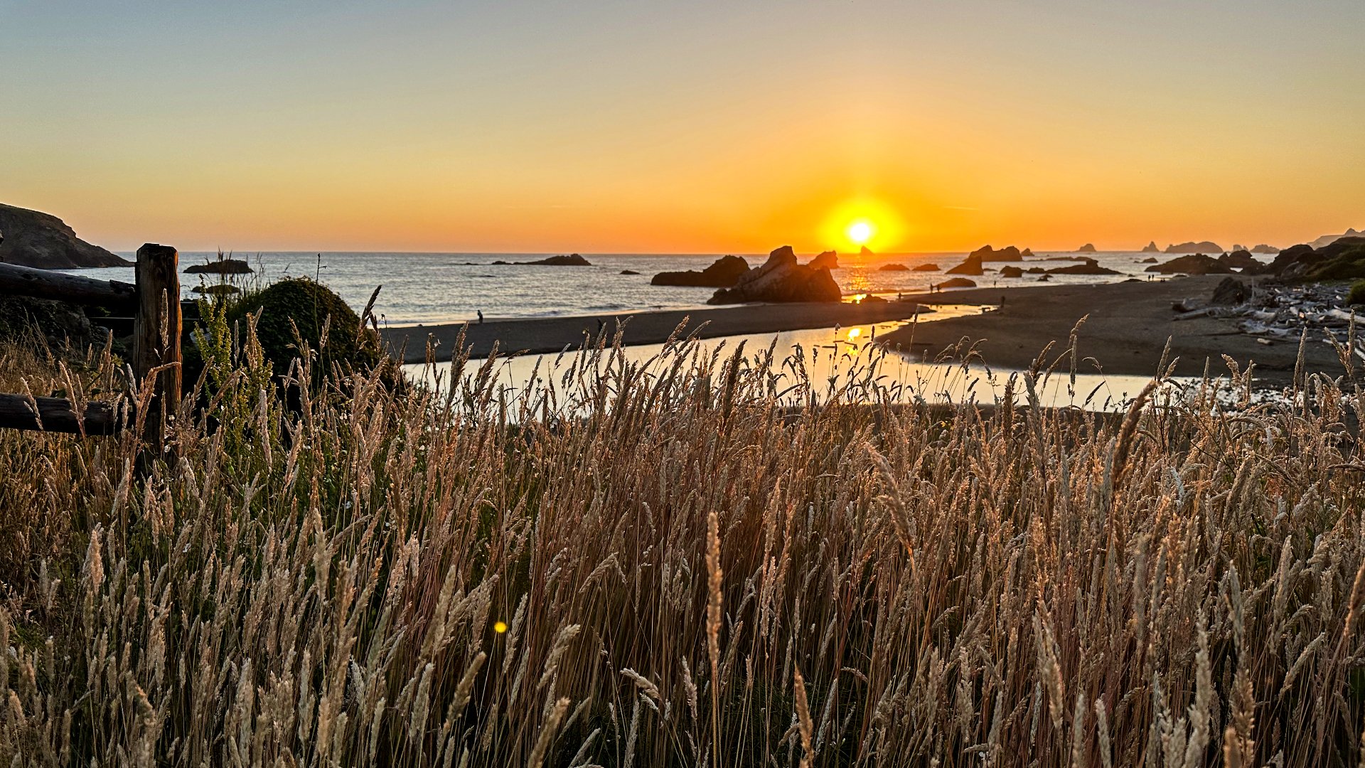 Oregon Libraries Offer Free State Parks Parking Permits