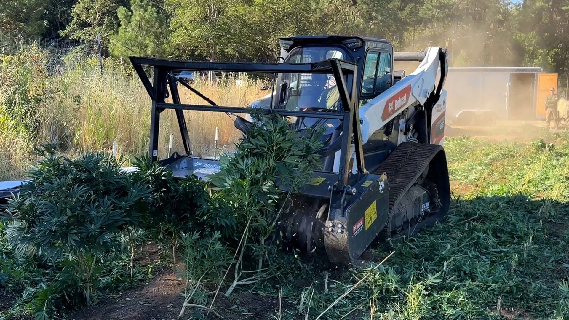 Task Force Seizes 1,300 Plants at Illegal Grow Near Applegate
