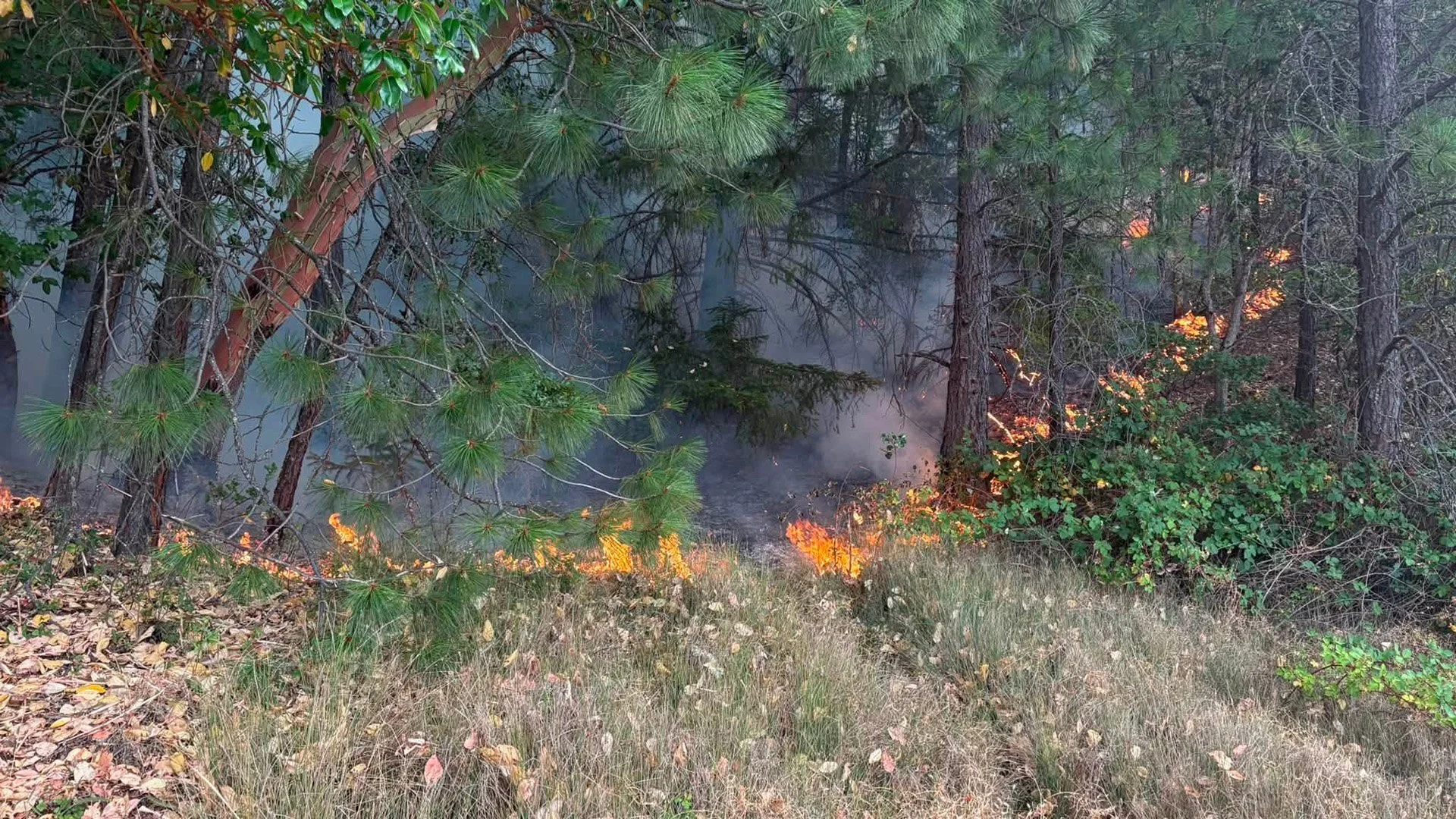 Evans Creek Road Fire Grows to 2,000 Acres as 400 Firefighters Mobilize