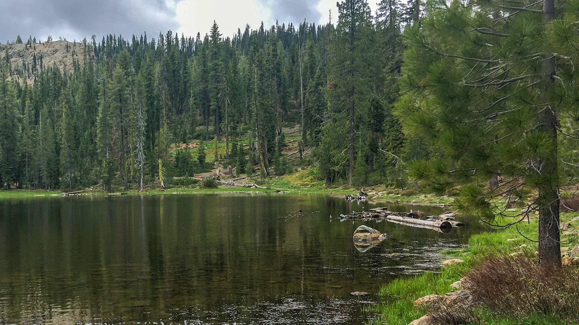 Two Forest Service Employees Safely Released After Armed Hostage Standoff