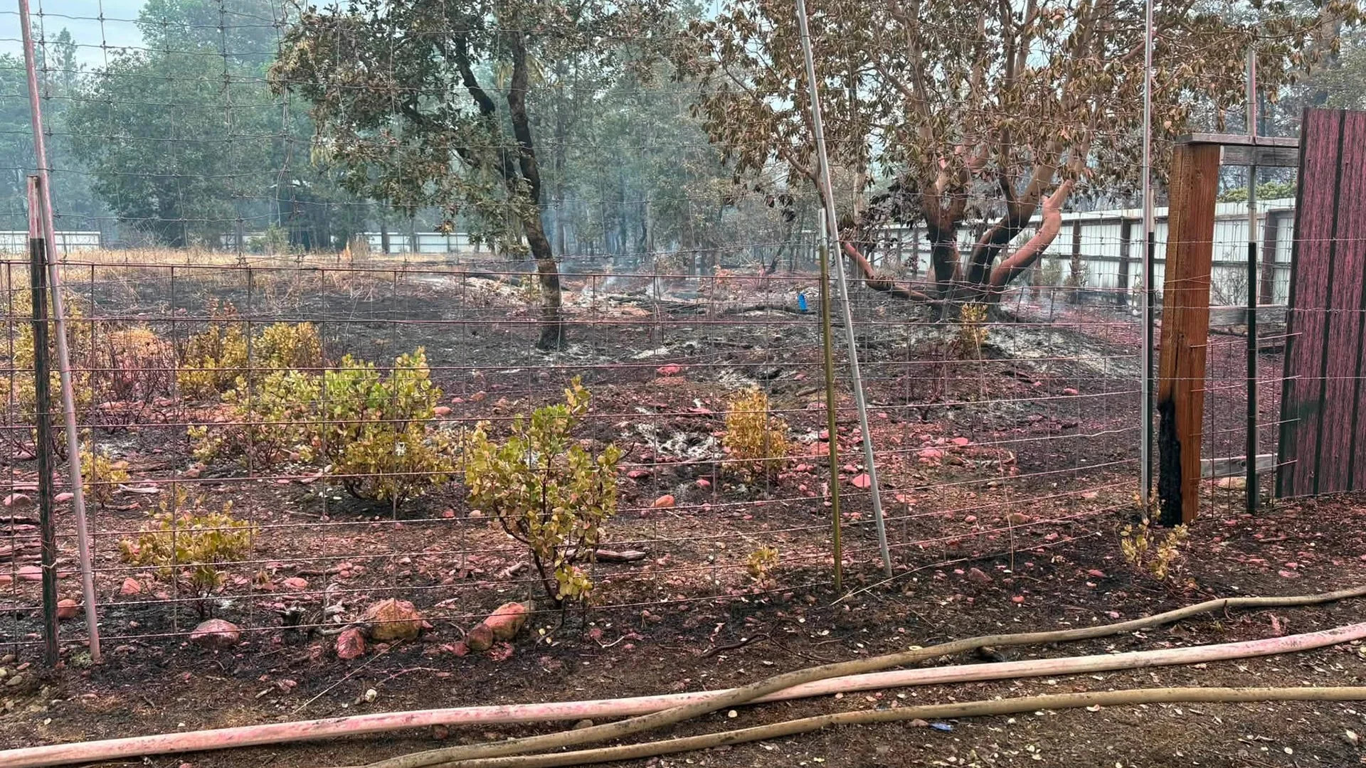 Waldo, Ridge Vista Fires Near Cave Junction Fully Lined After Overnight Push