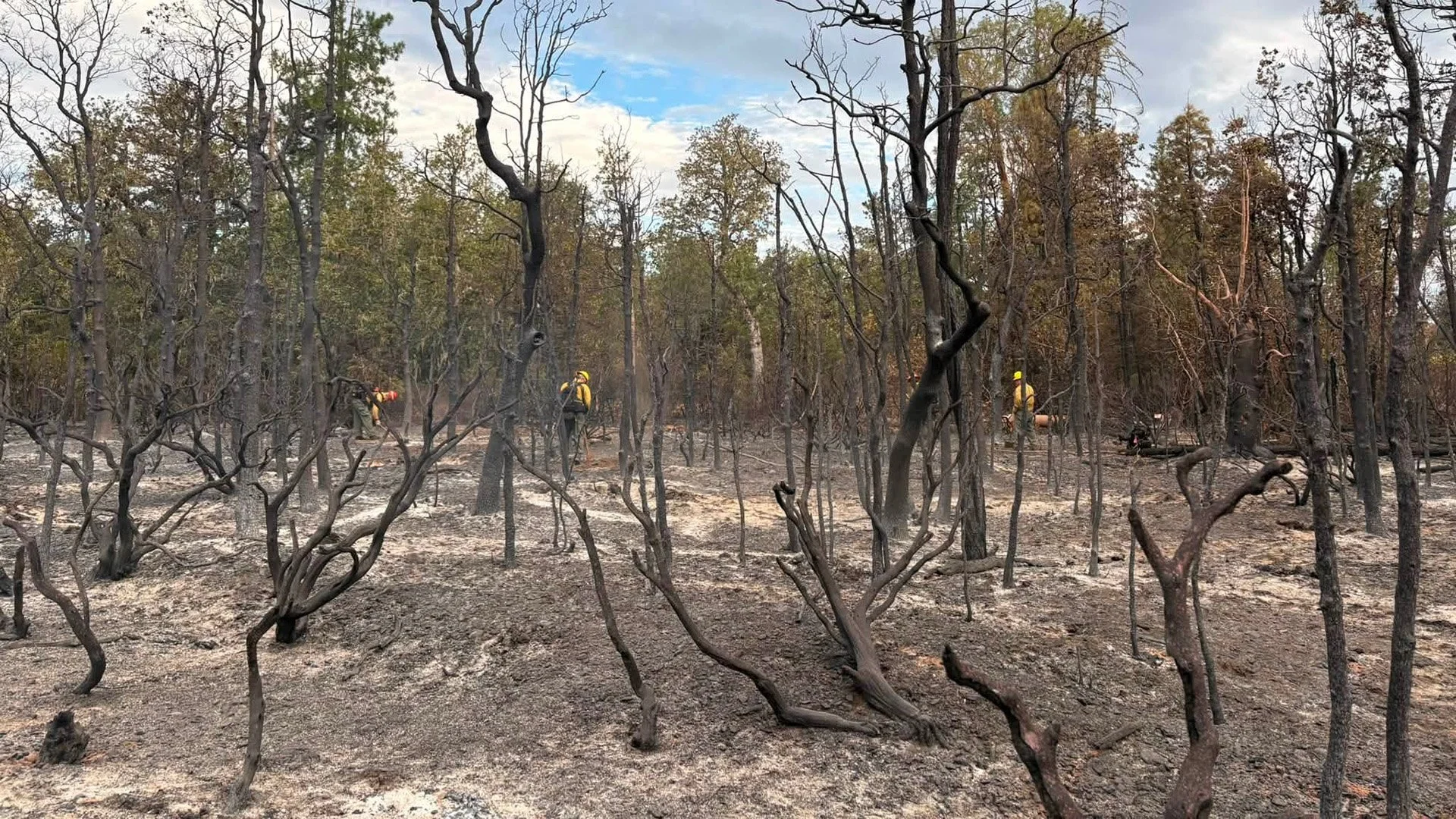 Waldo, Ridge Vista Fires Hold Steady as Crews Deepen Mop-Up Near Cave Junction
