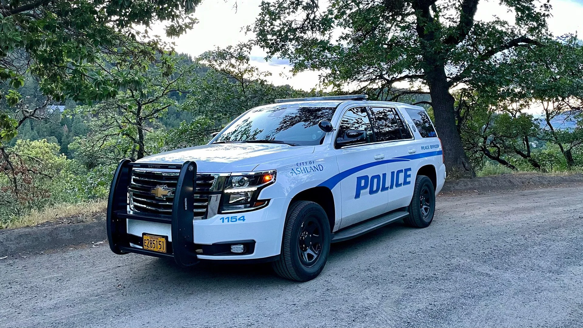 Gunfire, Armed Robbery Attempt Lead to Ashland Arrest